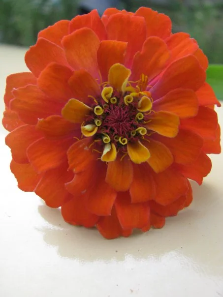 Be your own best Valentine! 