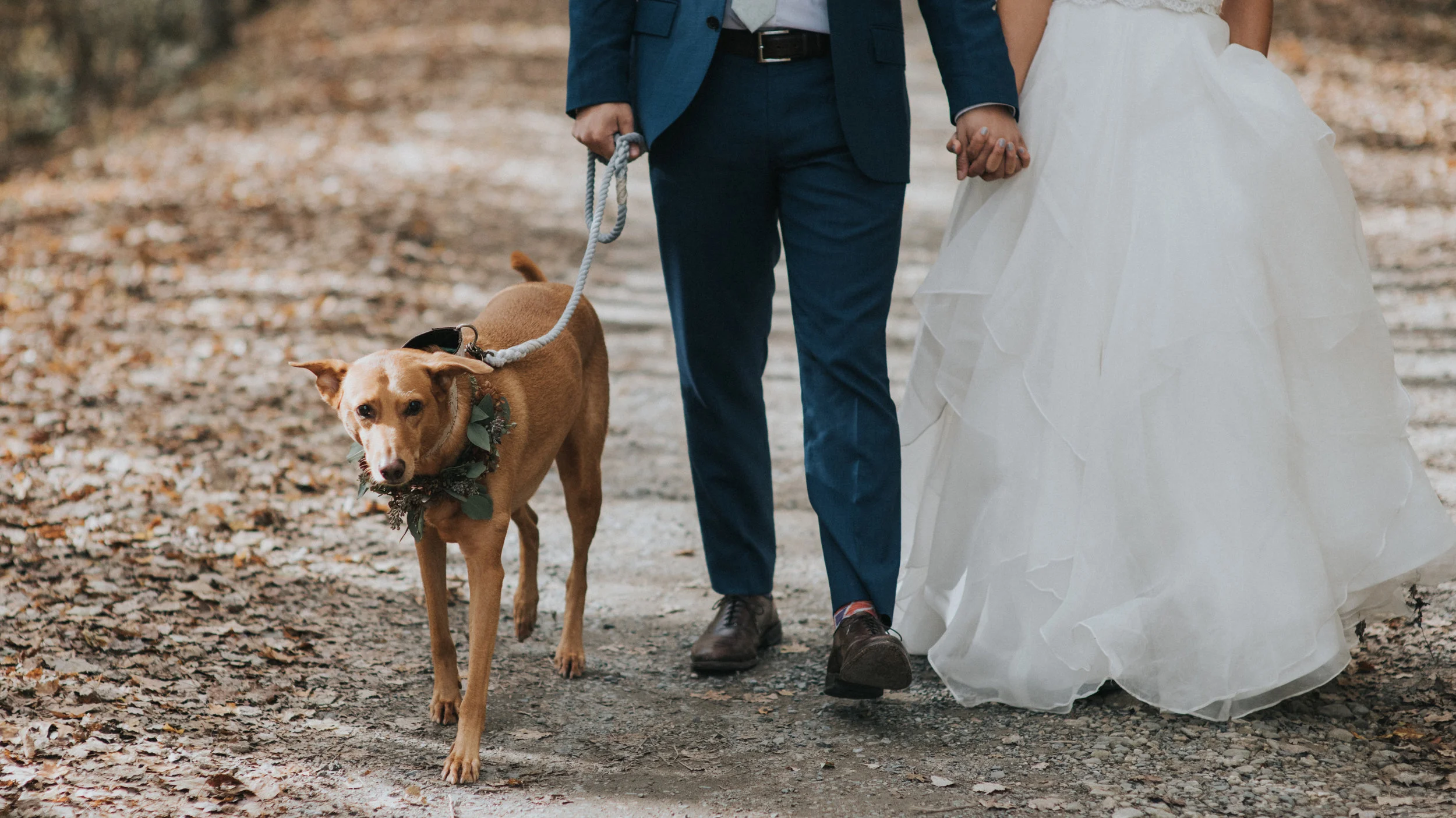 California to Catskills // Audrey's Farmhouse // A+C