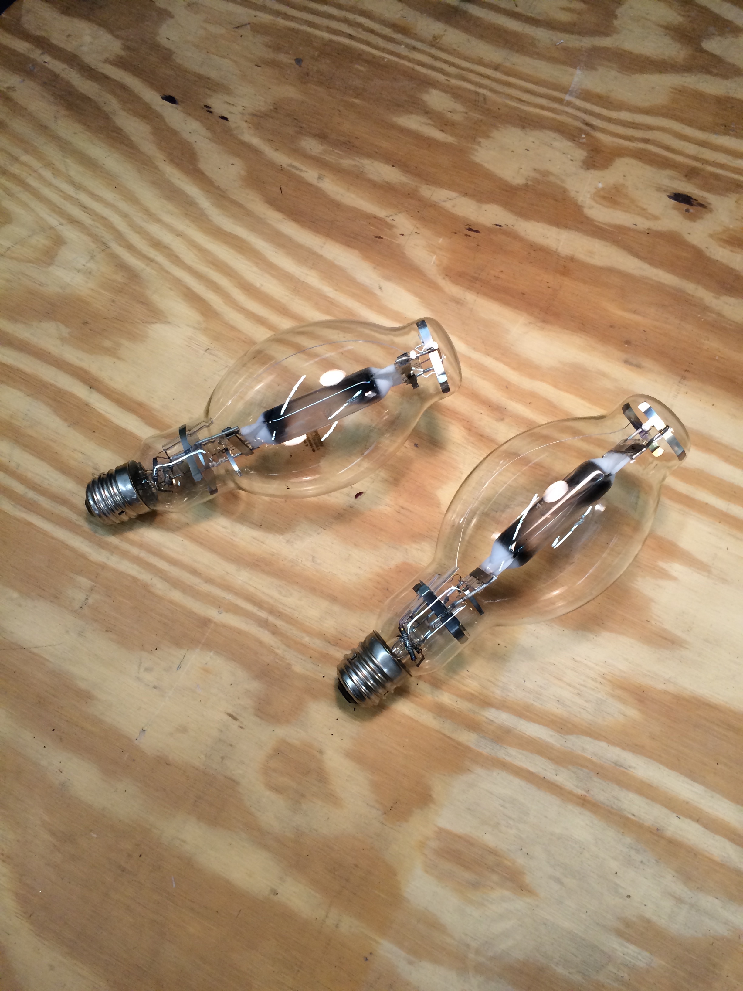 Large Light Bulbs