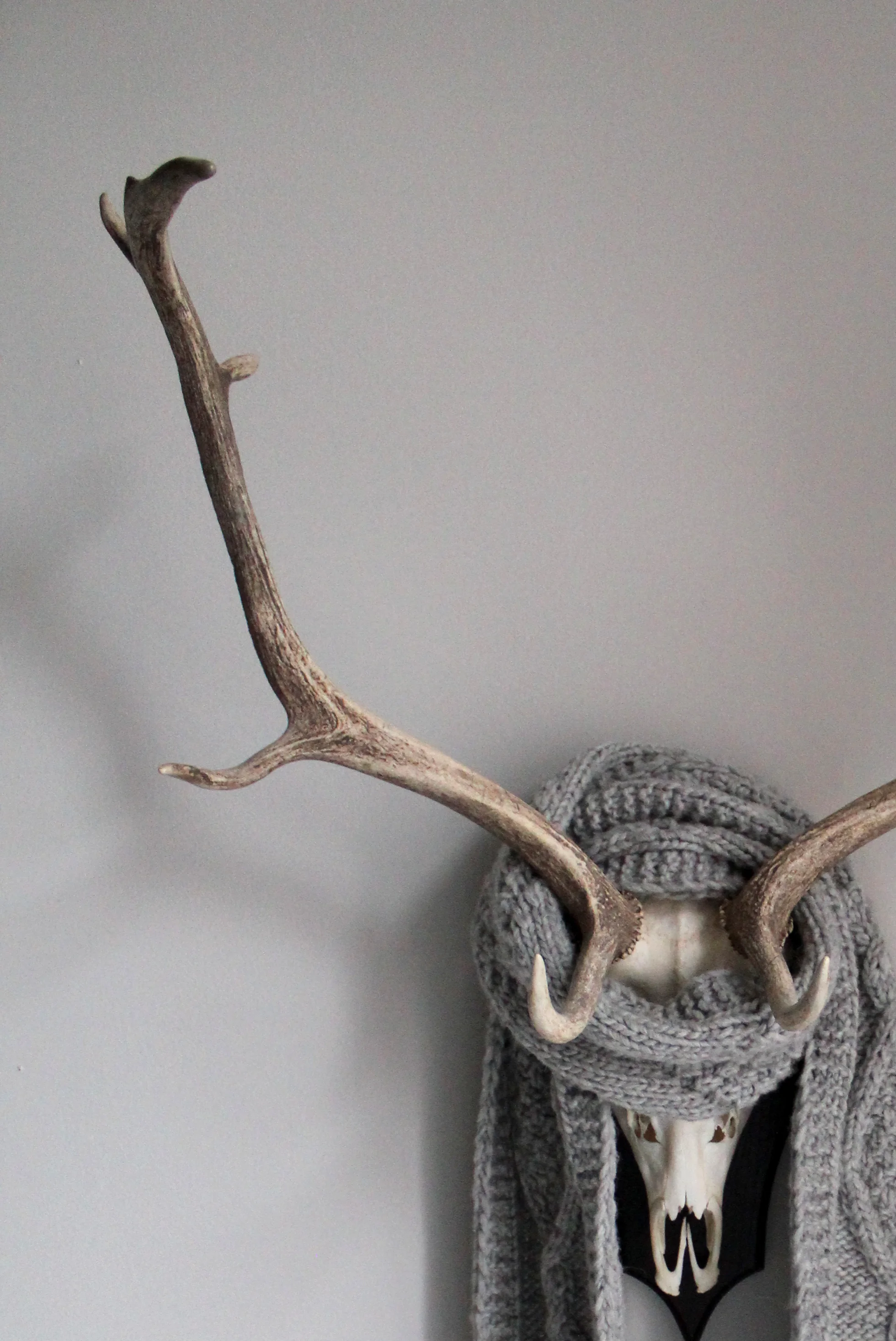 Seek 'n Hide & Modern Vintage Interior