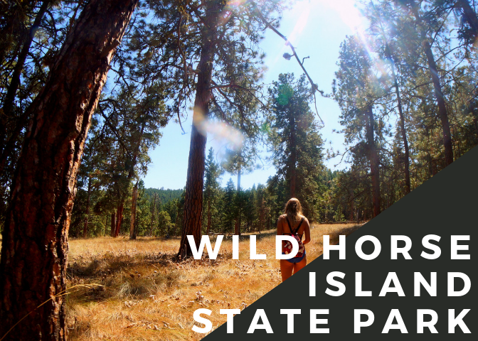 wildhorse island.png