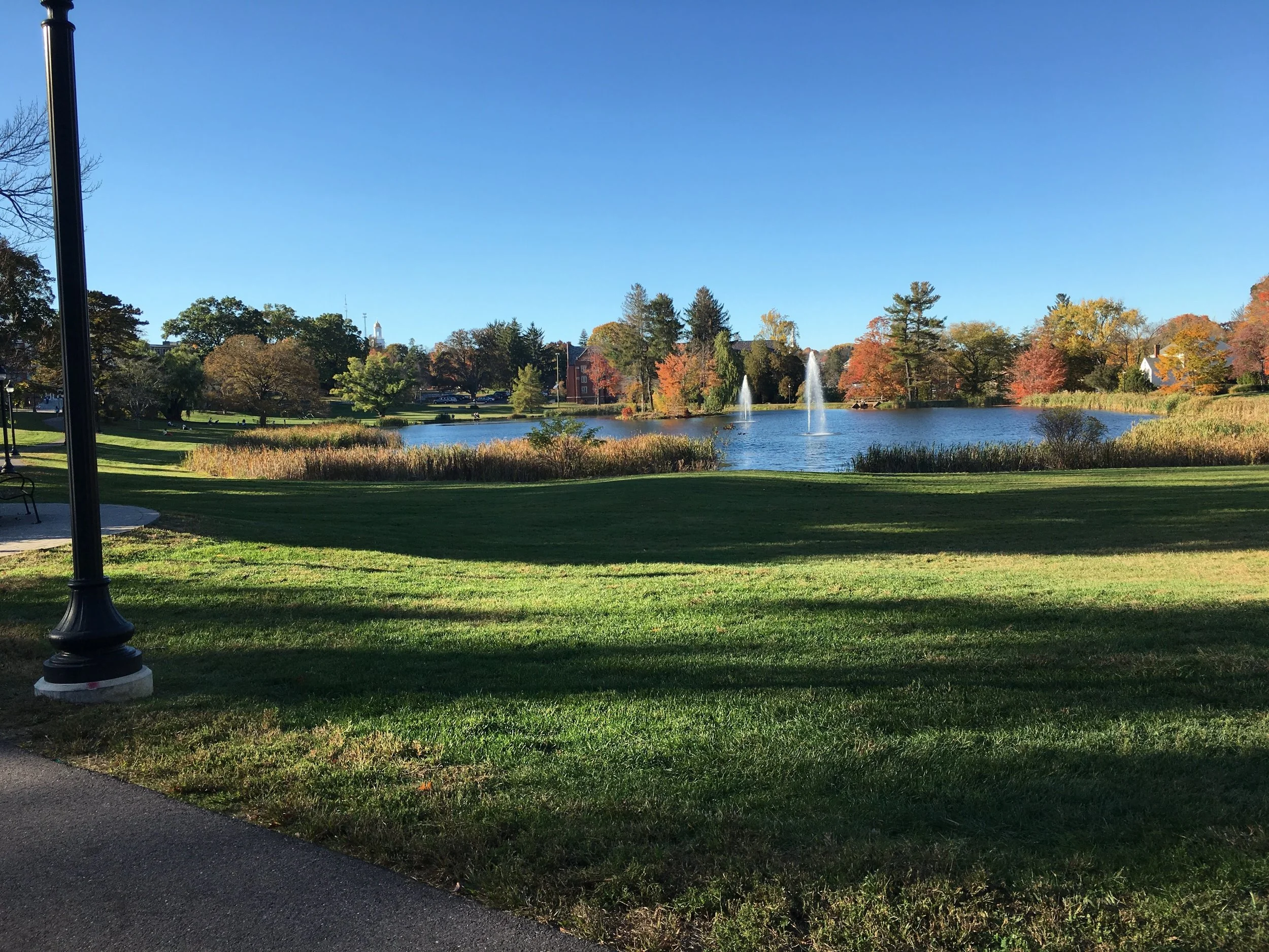 Part of my walk to class. Isn't it so beautiful?