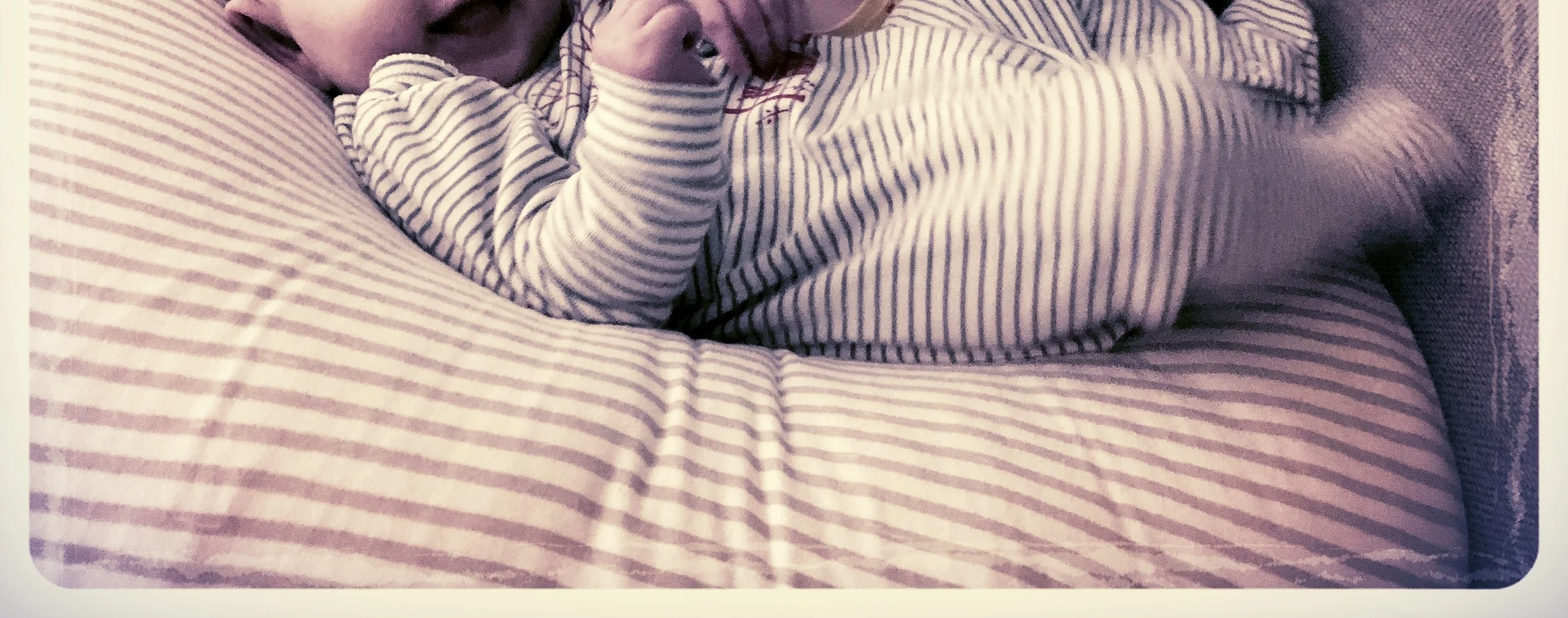 Patience in the Pit of Grief