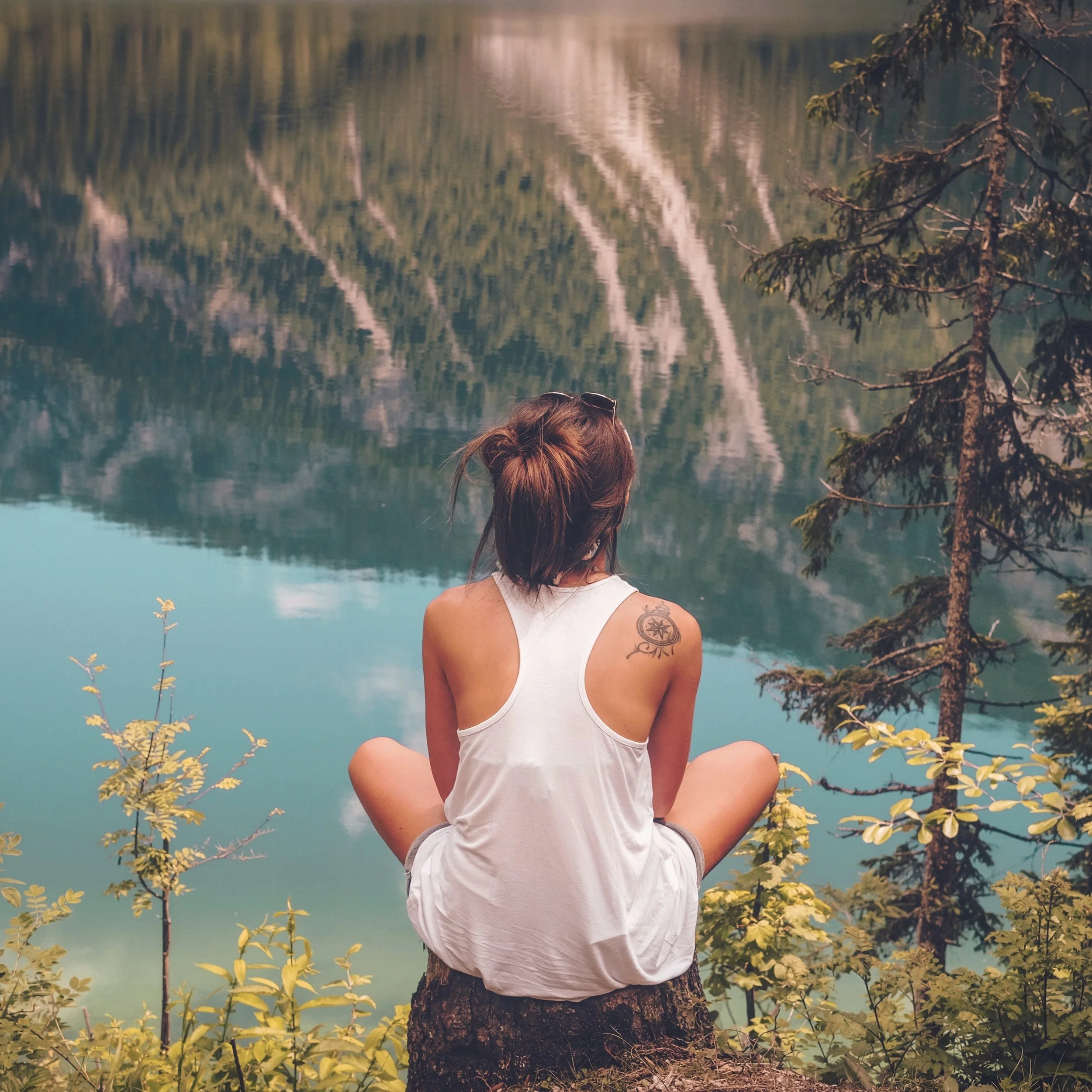 Cautiously Optimistic or Abounding in Hope?