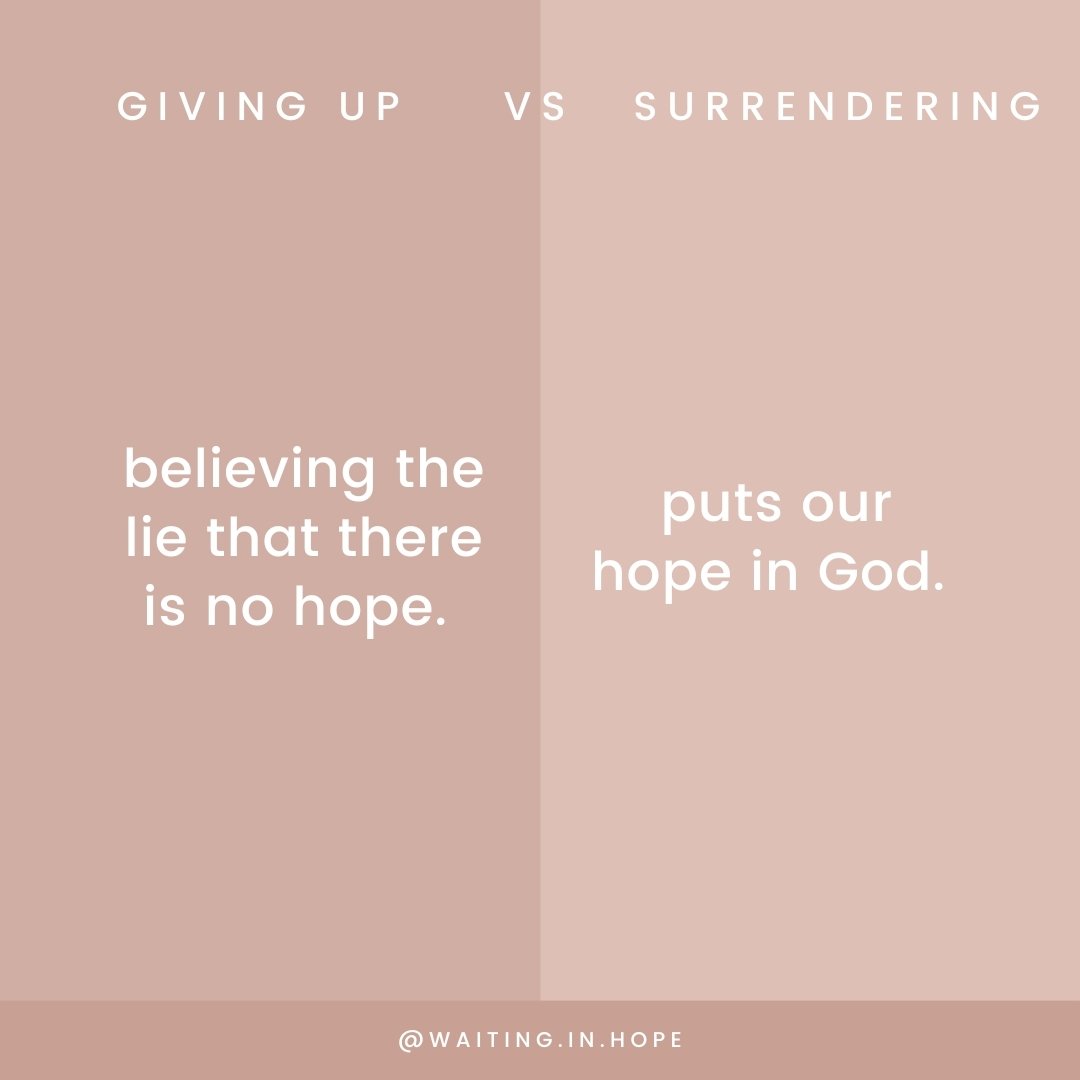 I remember the moment I finally surrendered my infertility into the hands of God. I had received news of another failed cycle. I was so upset I started telling God how my life should have been going and what should happen next. A verse from Job poppe