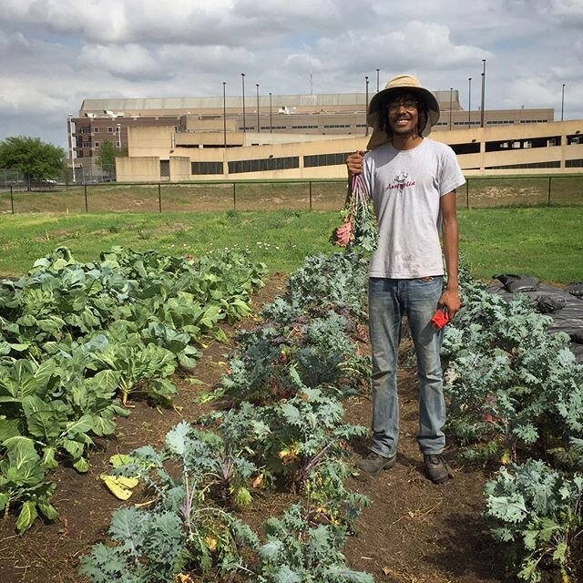 How about some good news? Today we officially DOUBLED our farmer team at the LBJ Community Farm! Charles is a native Houstonian and a recent graduate of @farmshareatx . I&rsquo;m thrilled for him to join our efforts! And just in time, too. I look for