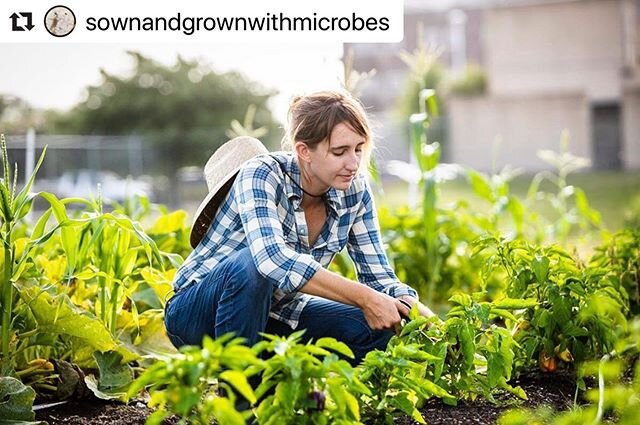 I&rsquo;ve worked hard the last 3+ years educating myself in the art and science of soil and now I&rsquo;d like to share that with you. SownAndGrownWithLove will continue to be my general farm page, for LBJ and beyond. But, this new endeavor is my sp