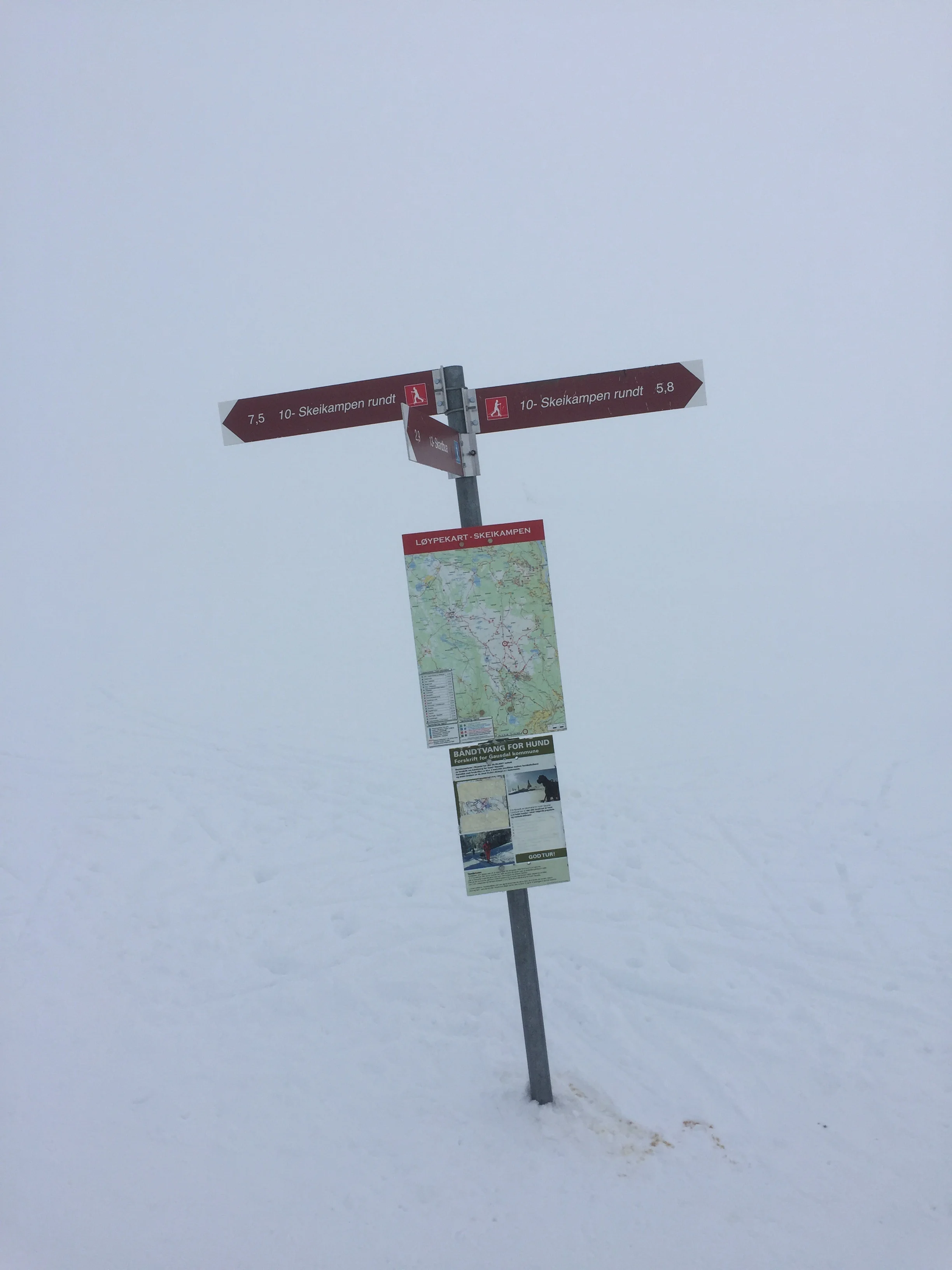 Ca halvveis i løypa!