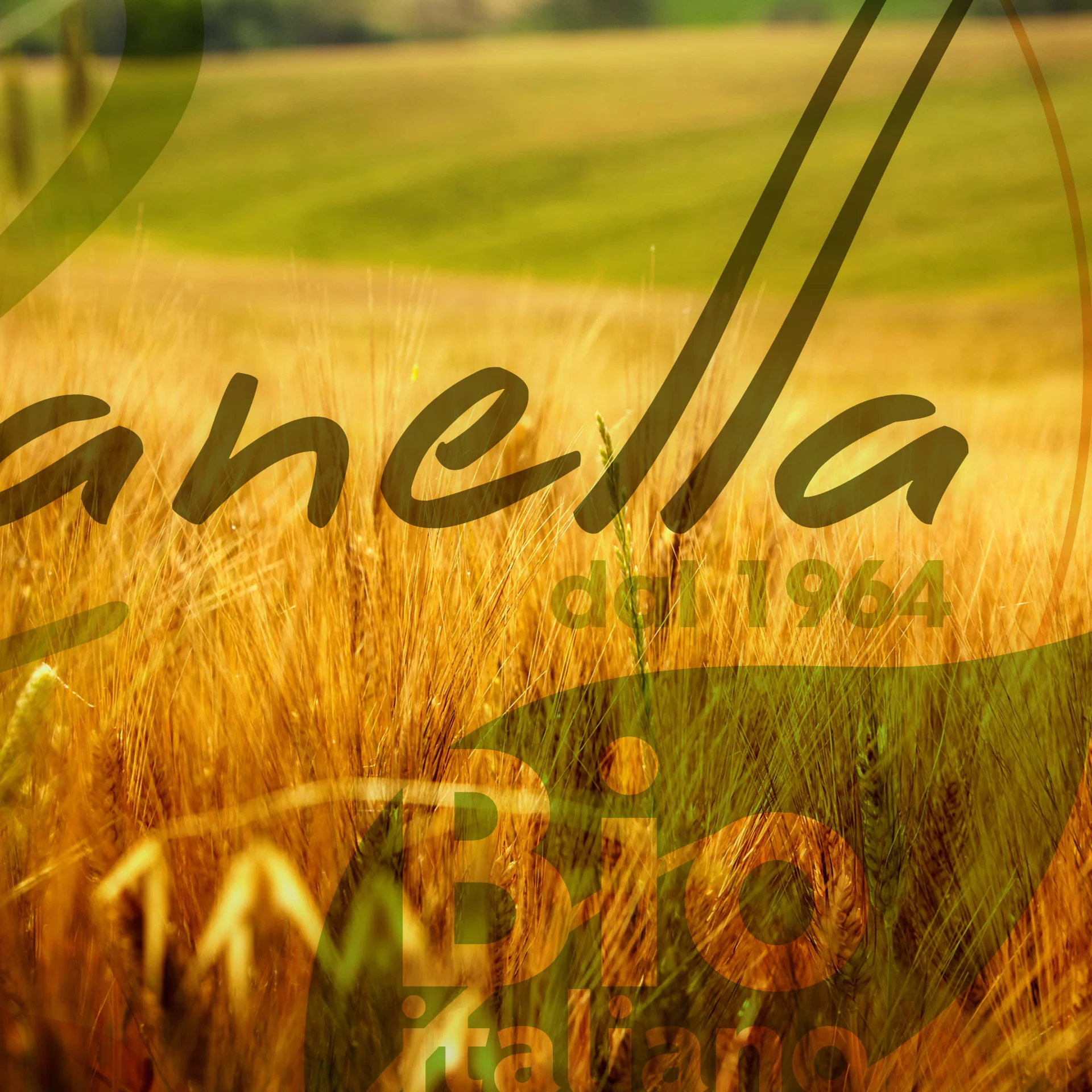 Zanella Bio