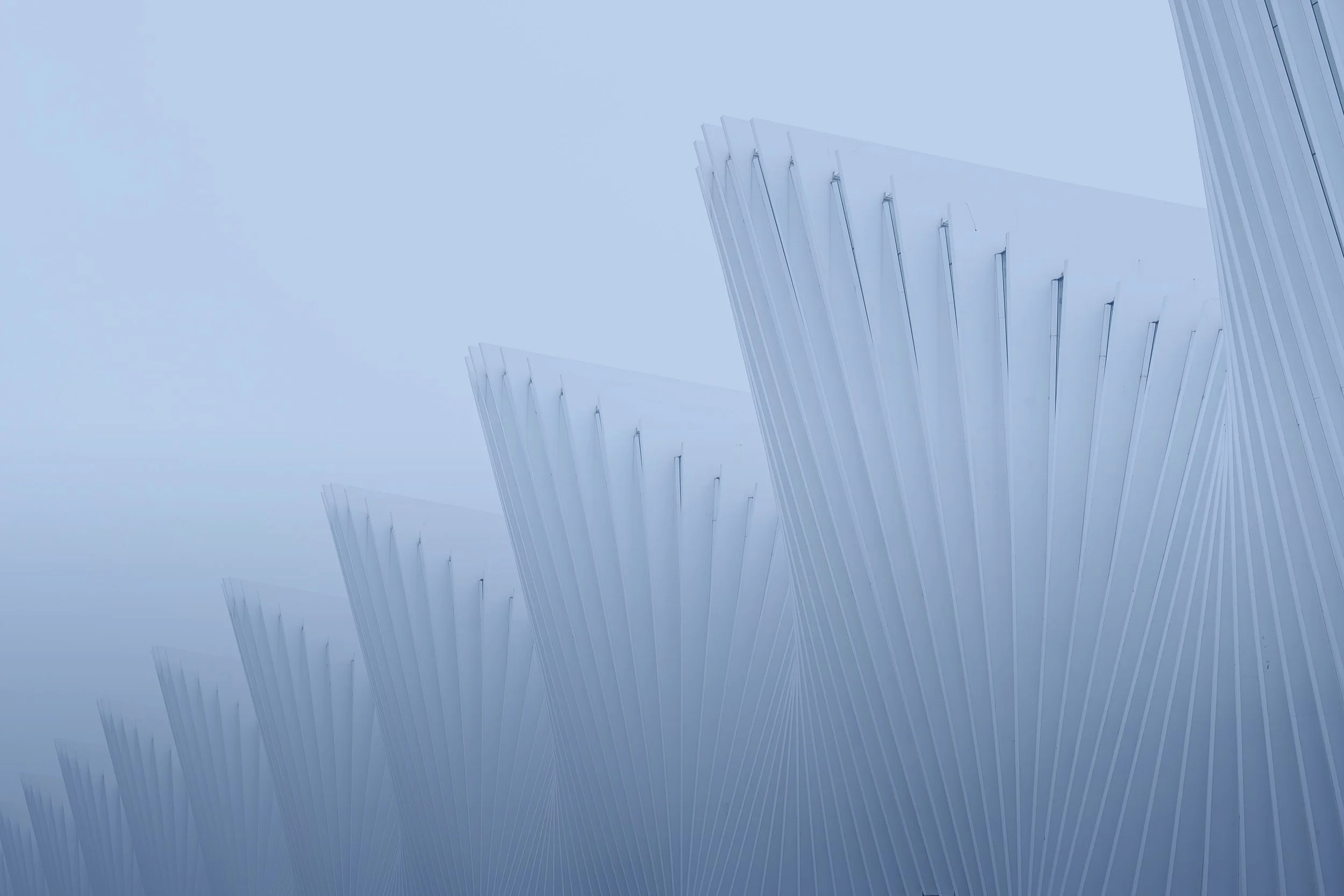 ABS- Advisory &amp; Business Services | MC Consulting - Website project