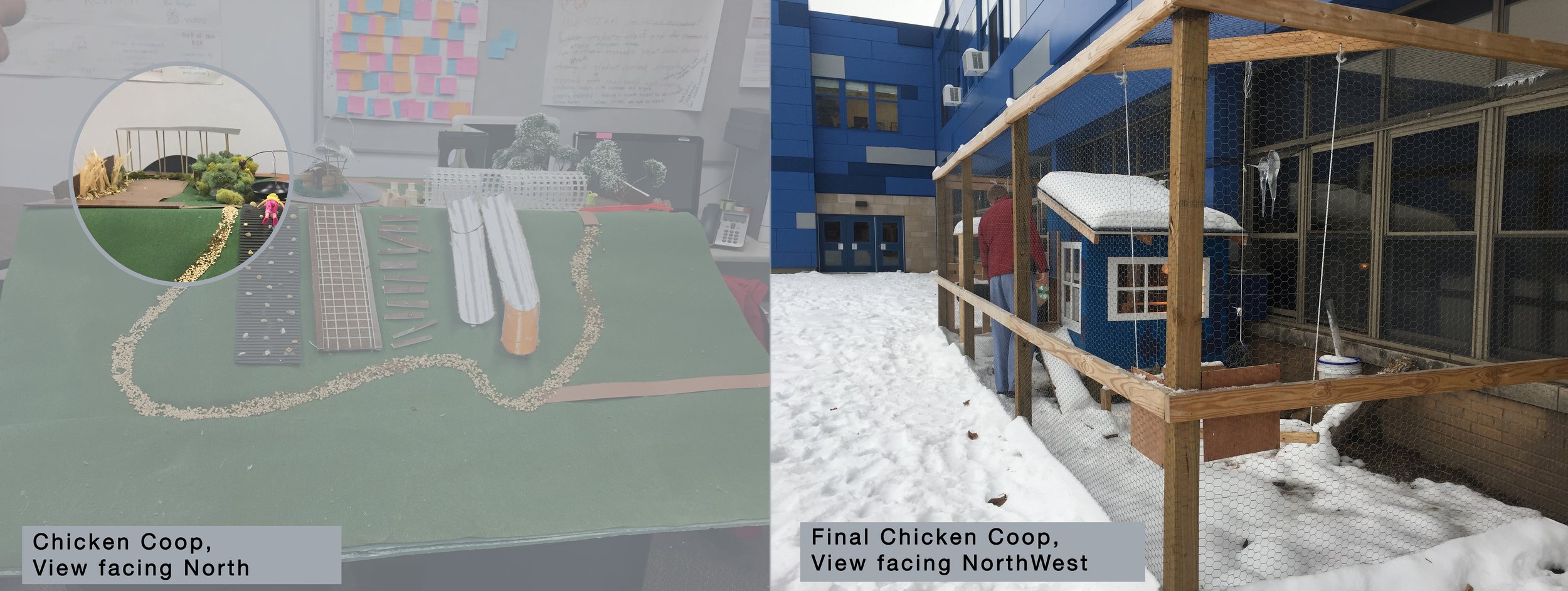 Chicken Coop__Comparison.jpg