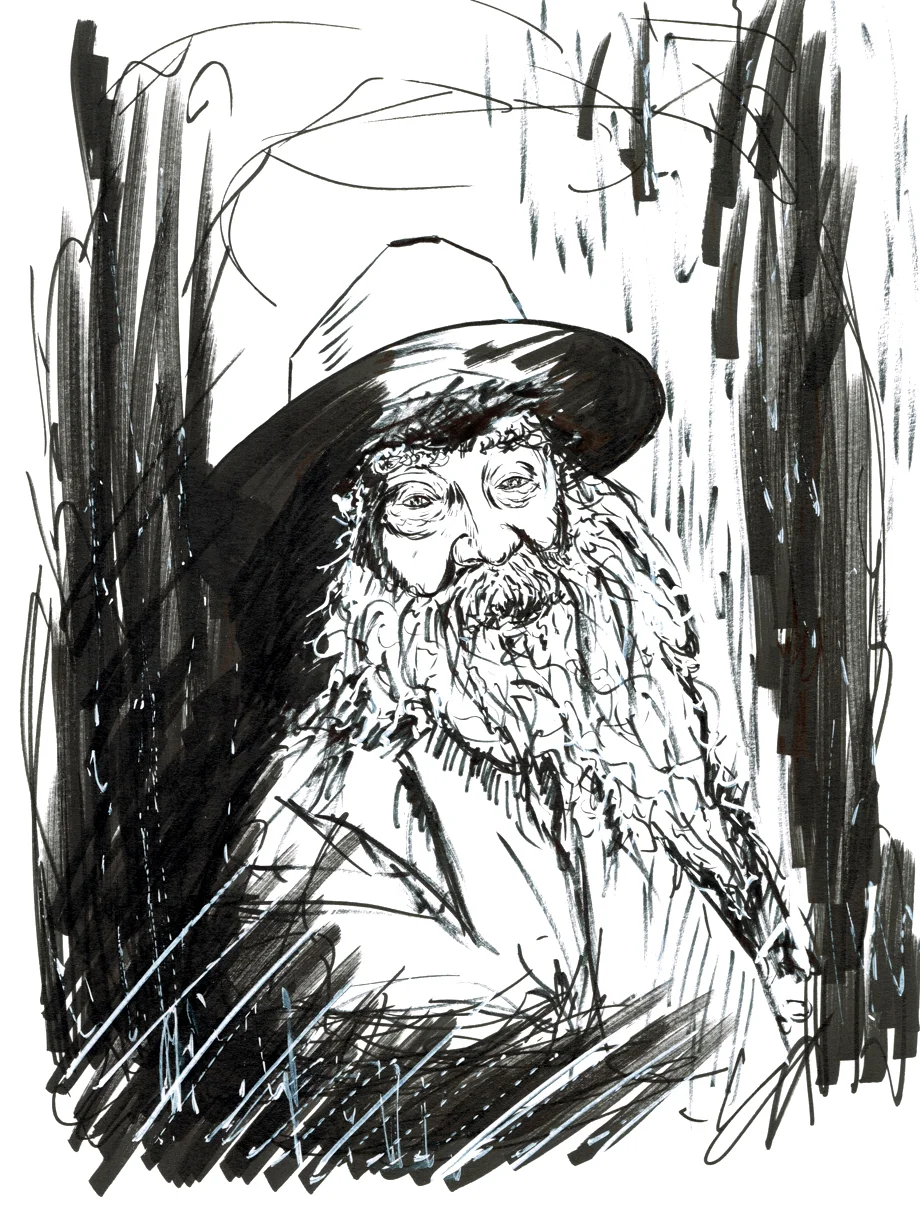witman-cari-illustration.jpg