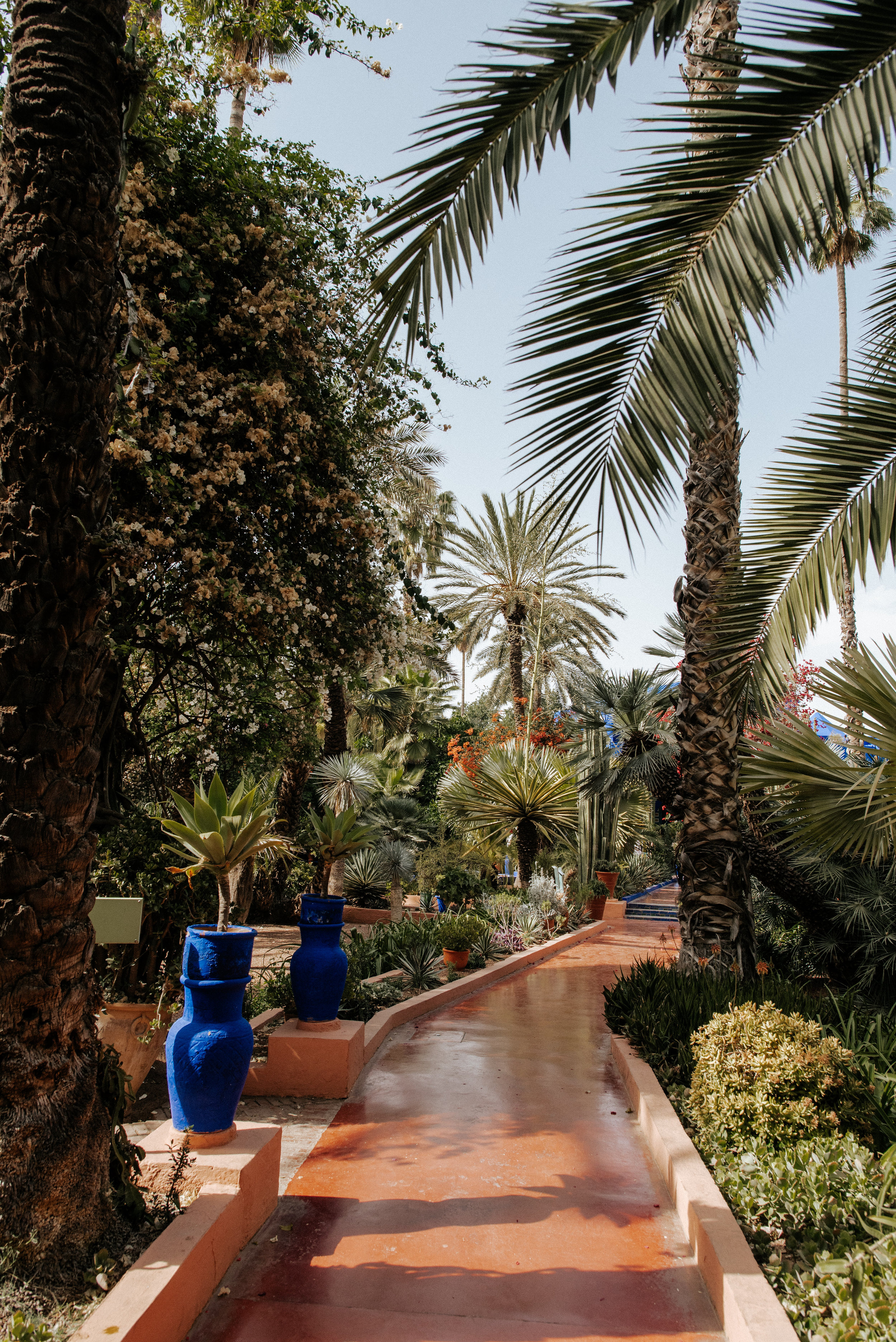 Jardin Majorelle
