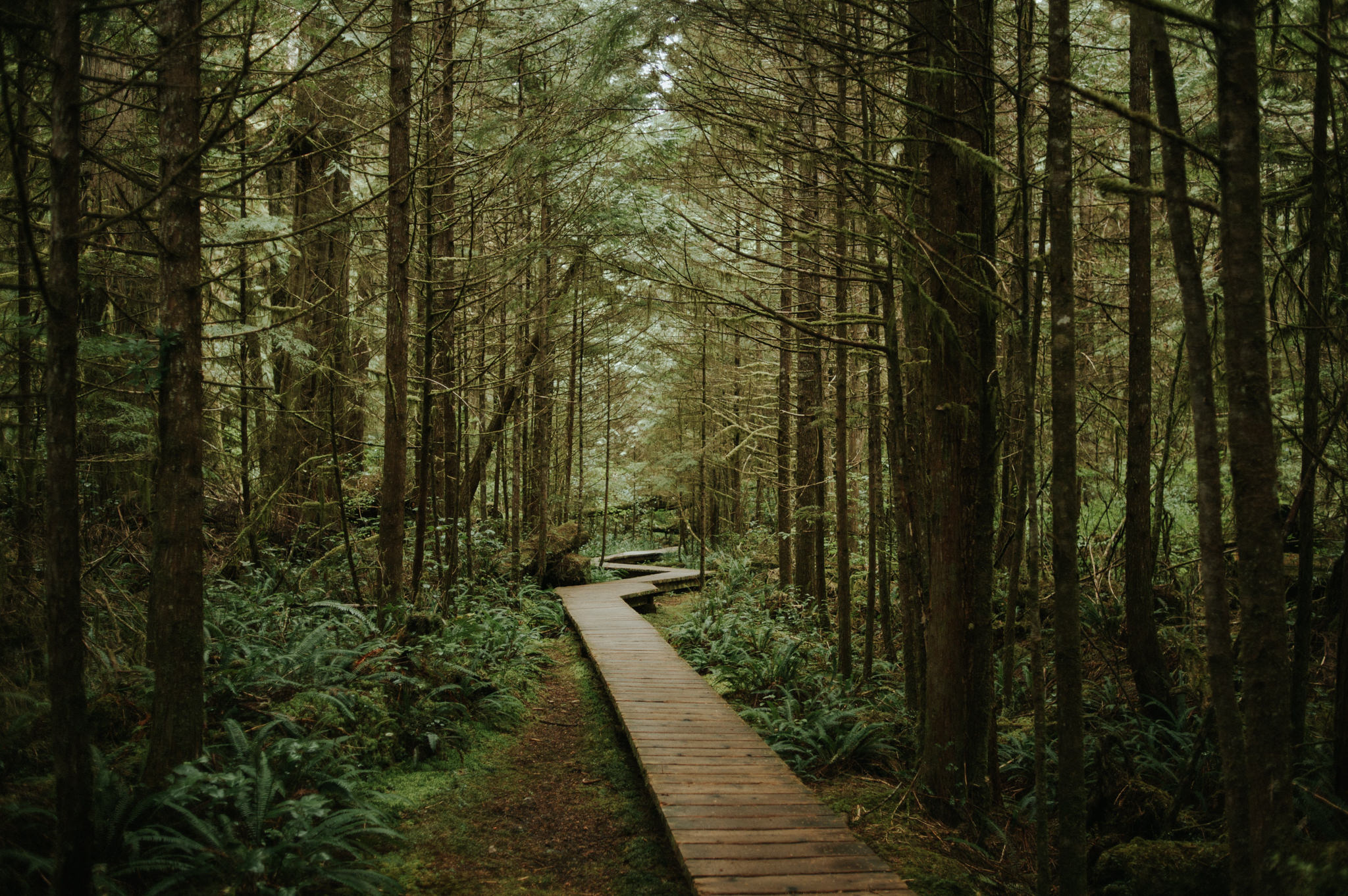 Pacific Rim National Park Reserve in Tofino