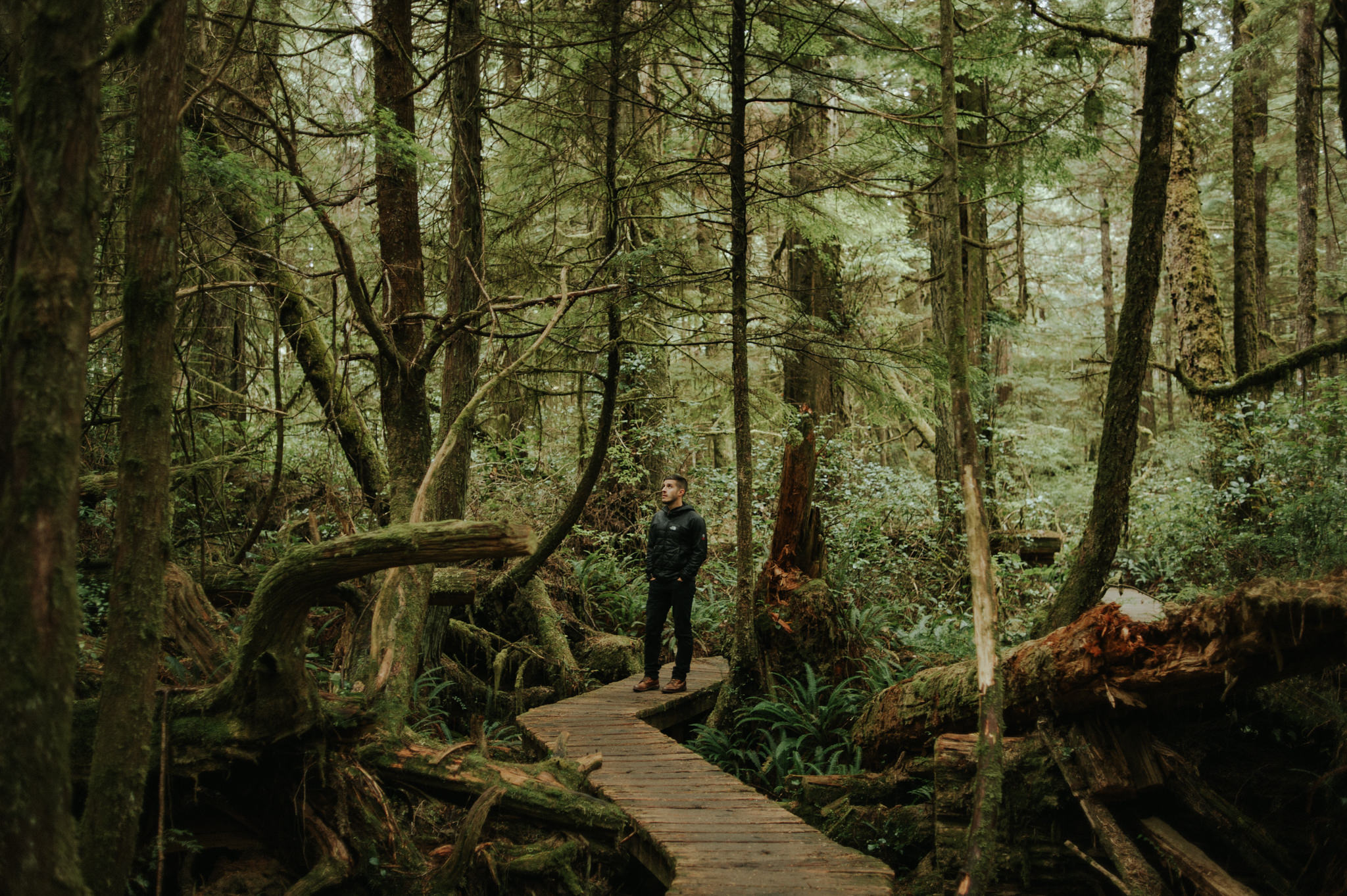 Pacific Rim National Park Reserve in Tofino