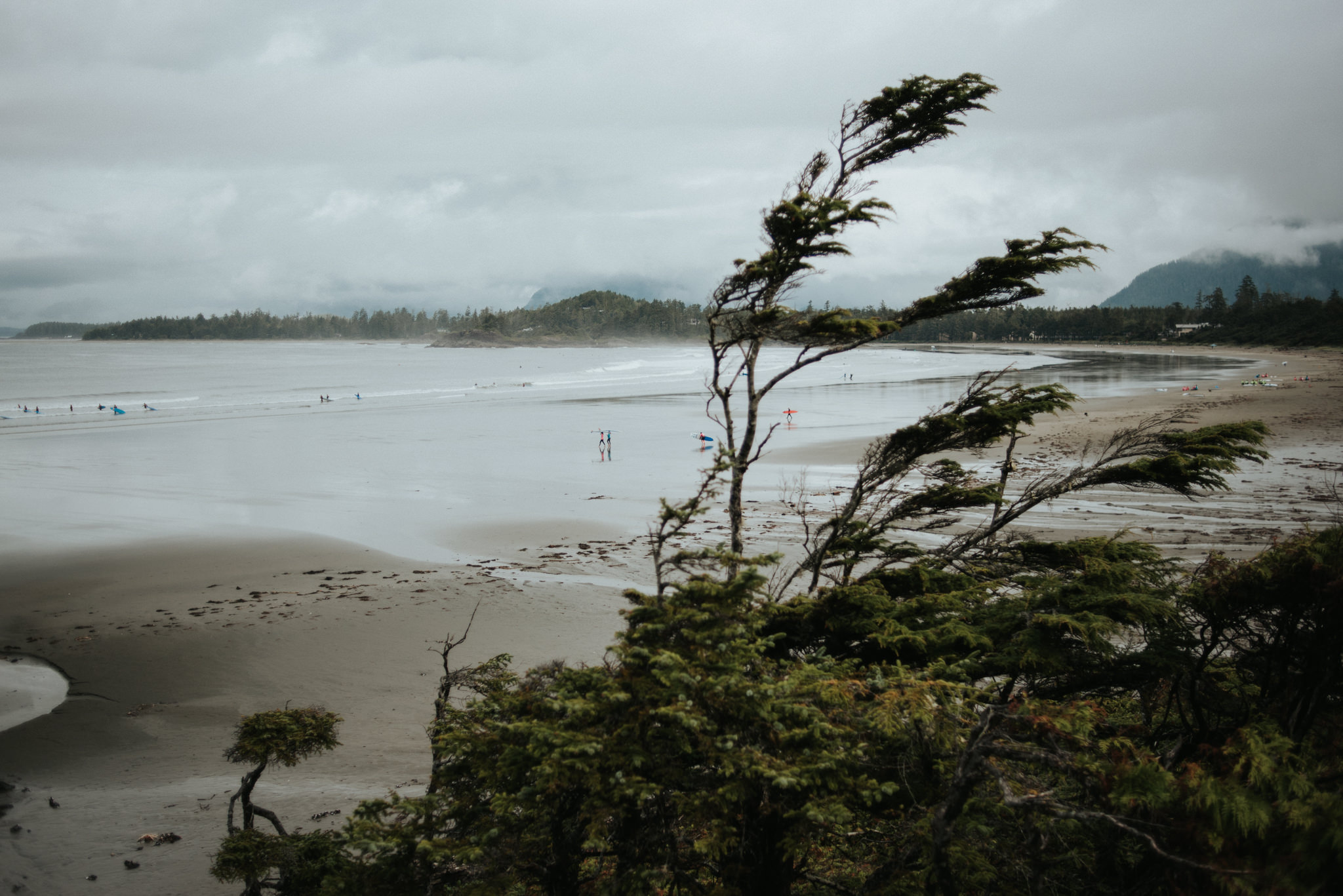 Foggy morning at Cox Bay in Tofino