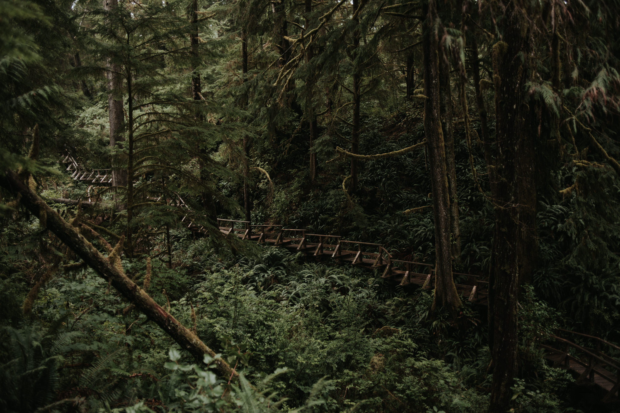 Schooner Cove in Pacific Rim National Park Reserve in Tofino