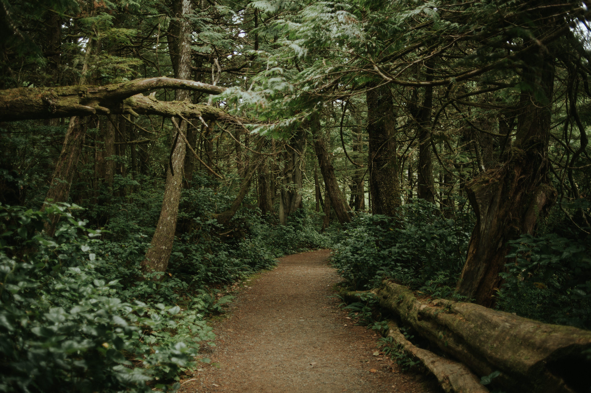 Wild Pacific Trail in Ucluelet, British Columbia