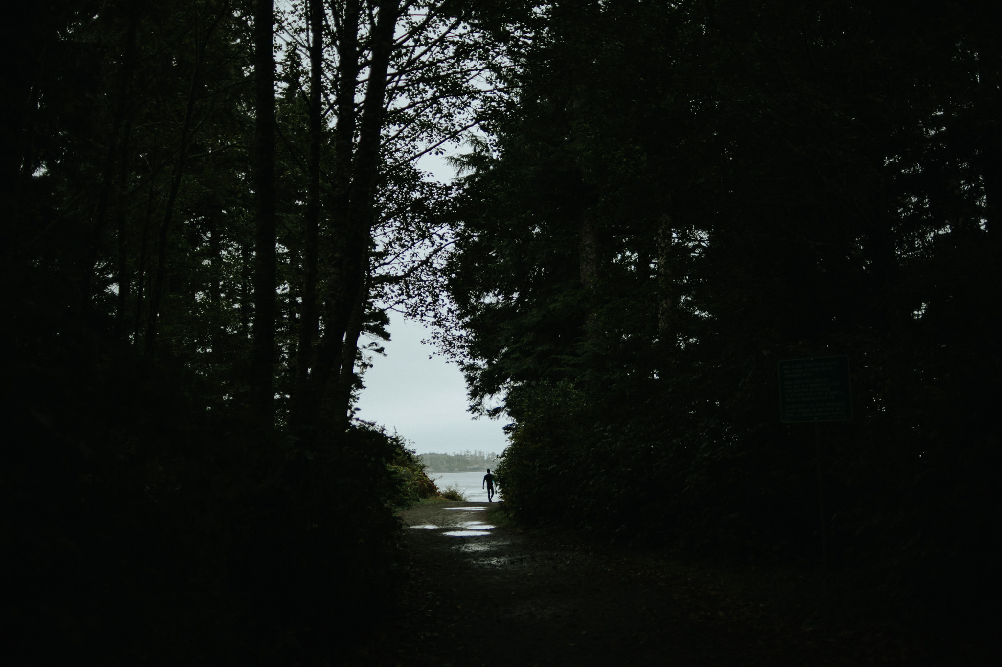 Chesterman Beach, Tofino