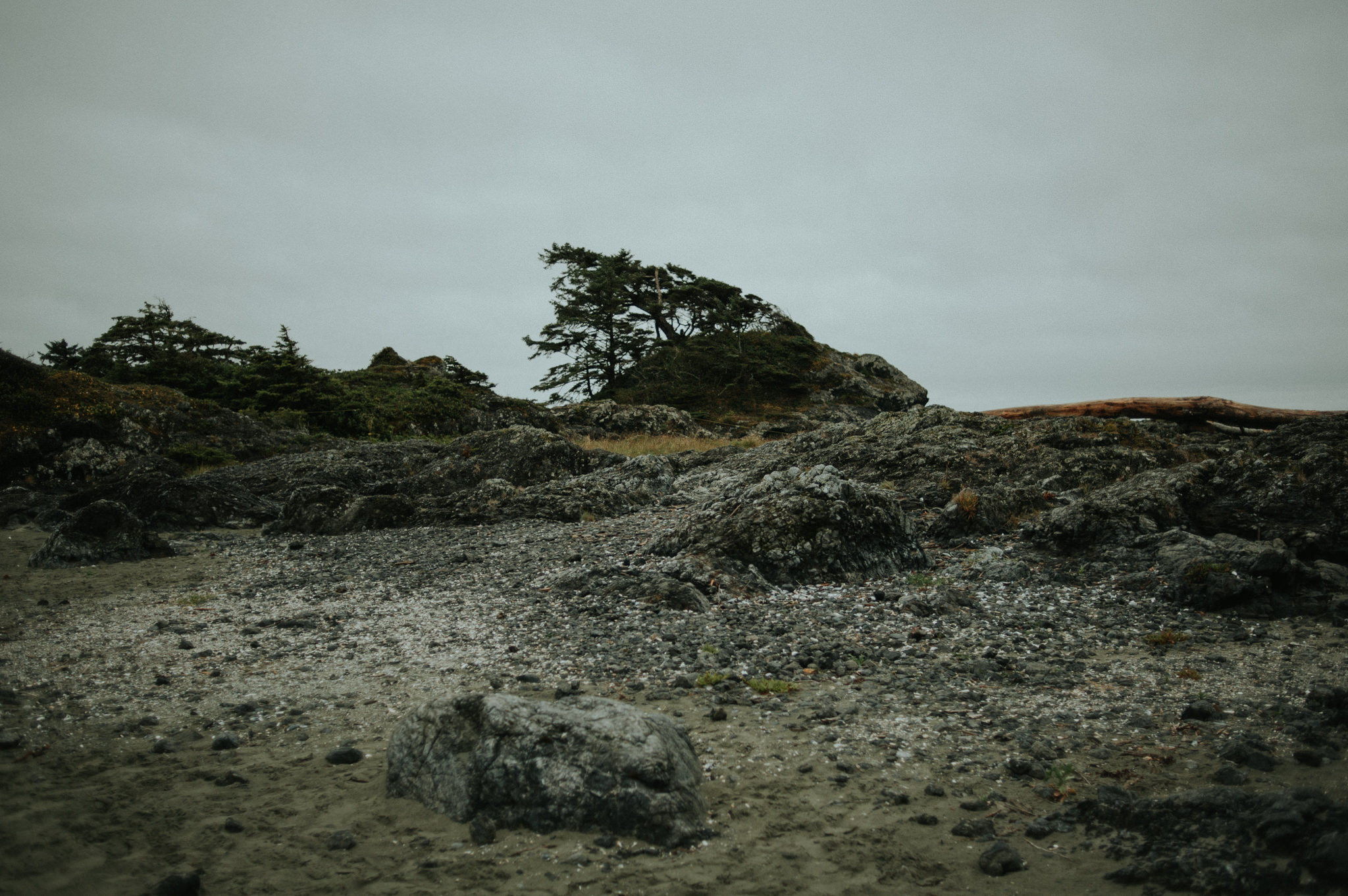 Chesterman Beach, Tofino