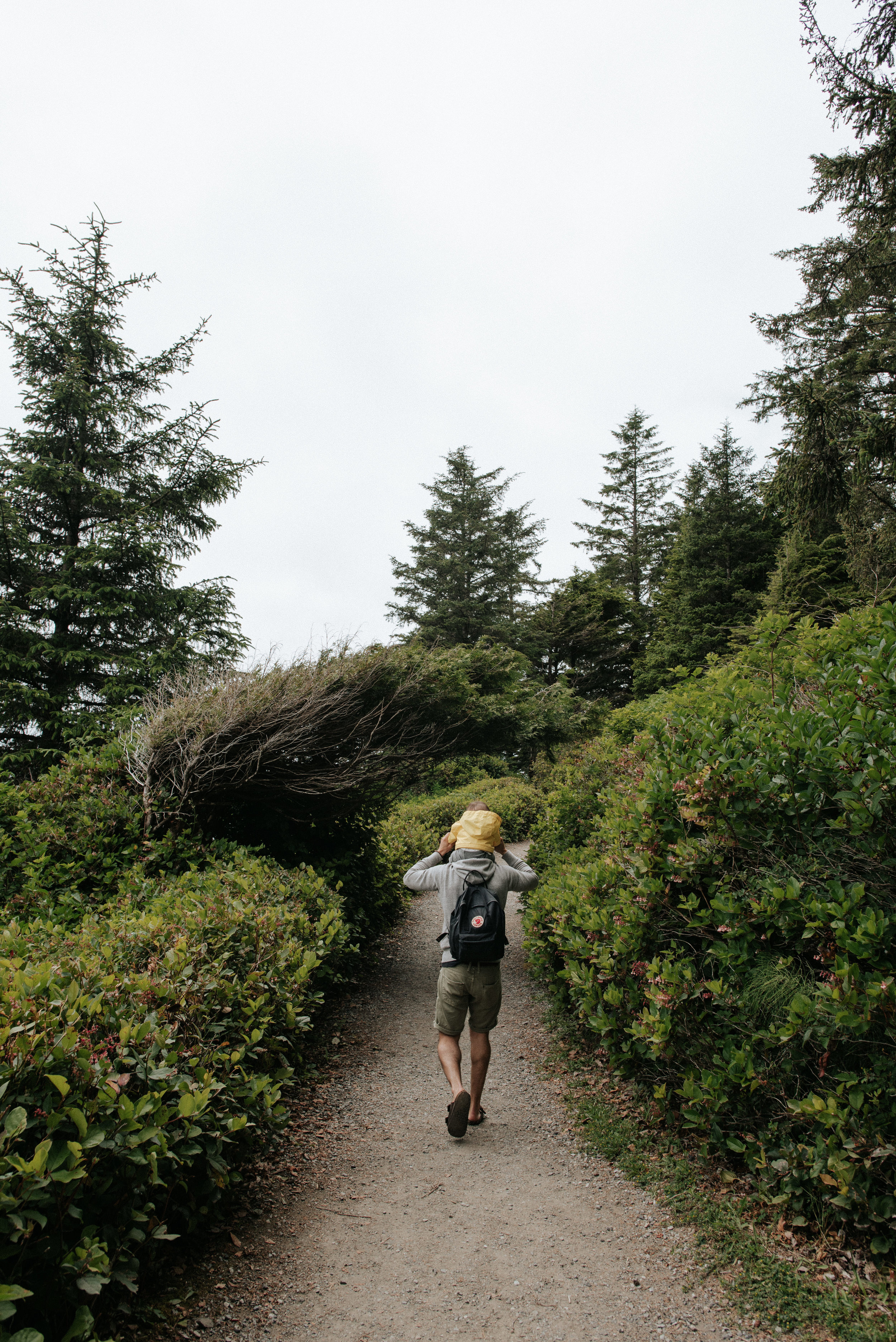 Wild Pacific Trail in Ucluelet, British Columbia
