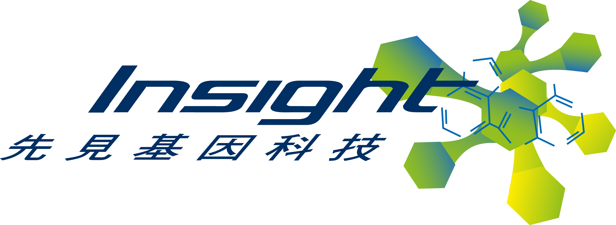 insight logo.png
