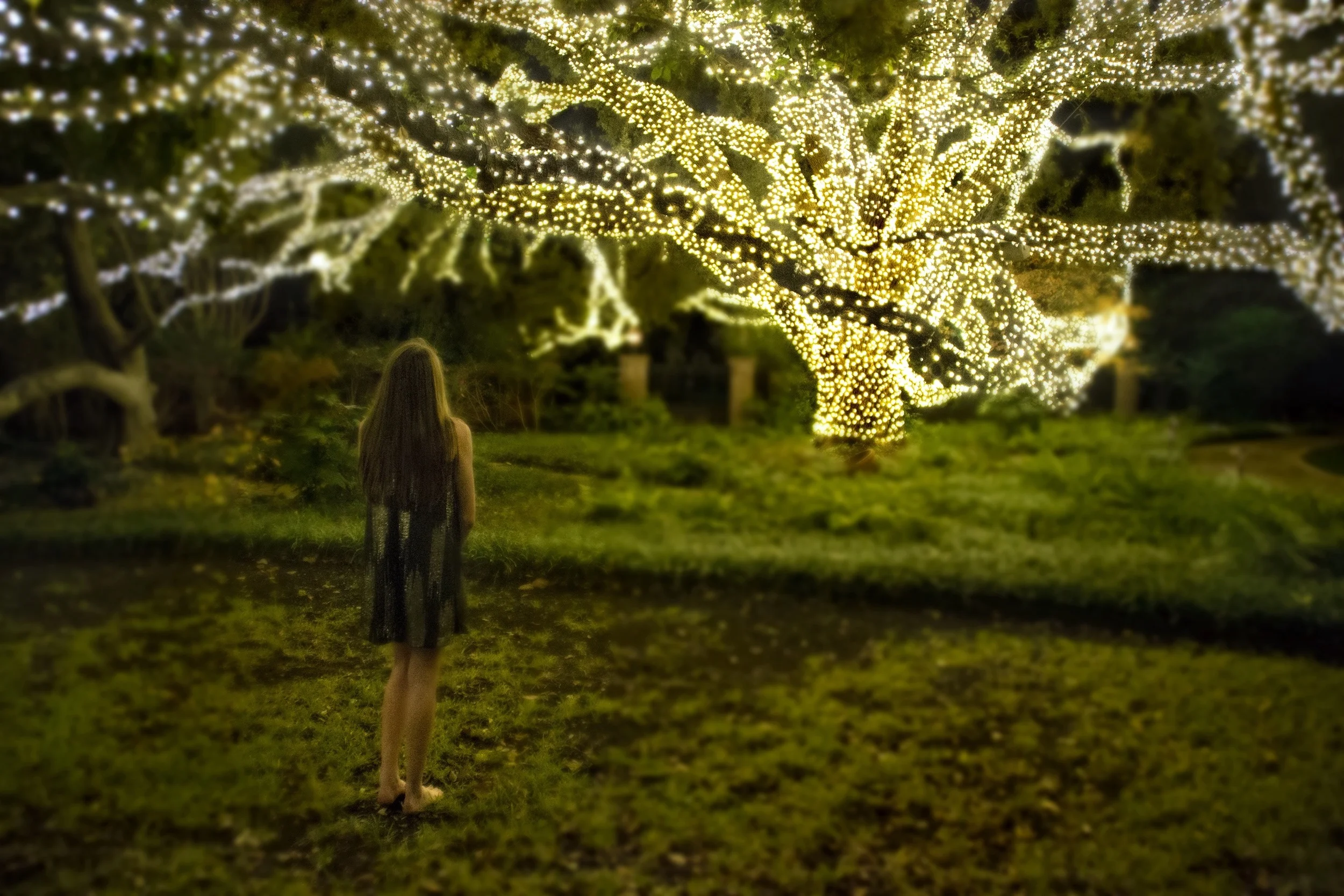 avery dreamscape PRINT.jpg