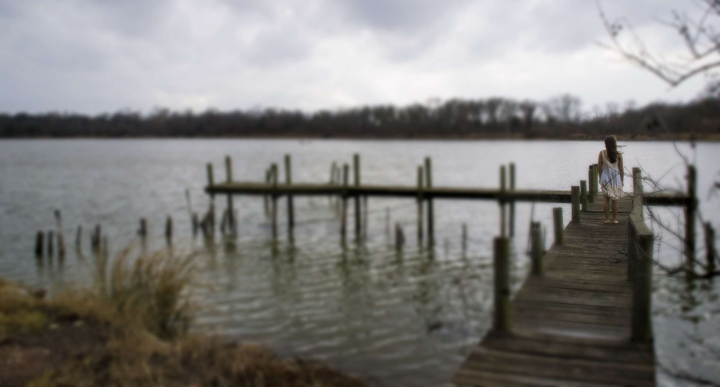cat dock LESS BLUR.jpg