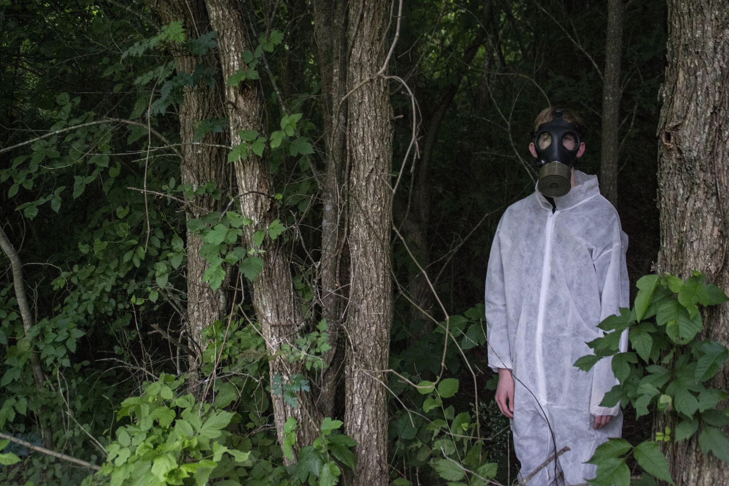 harri gasmask trees.jpg