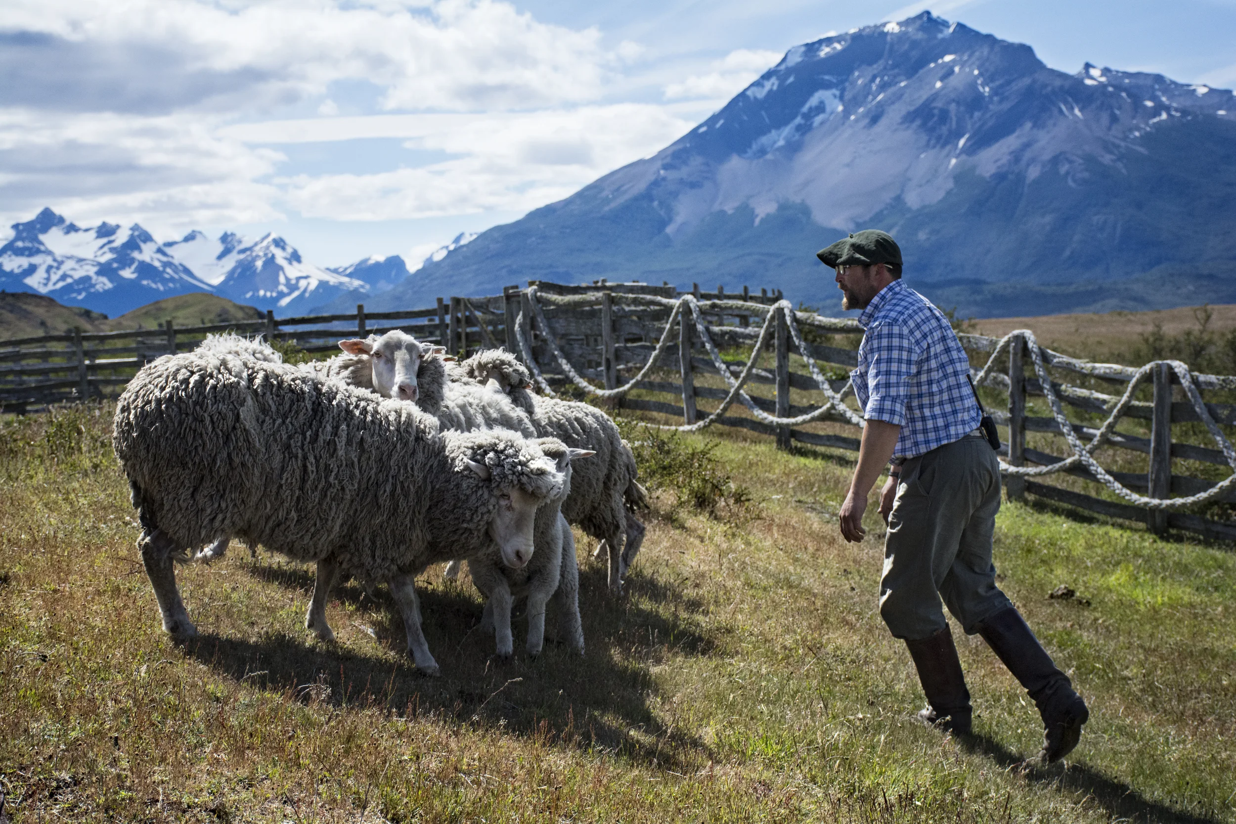 sheep mountain.jpg