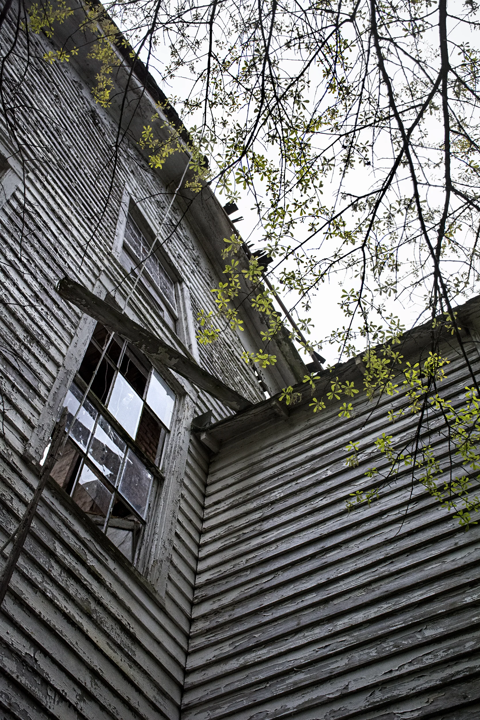 cabin broken windows upshot.jpg