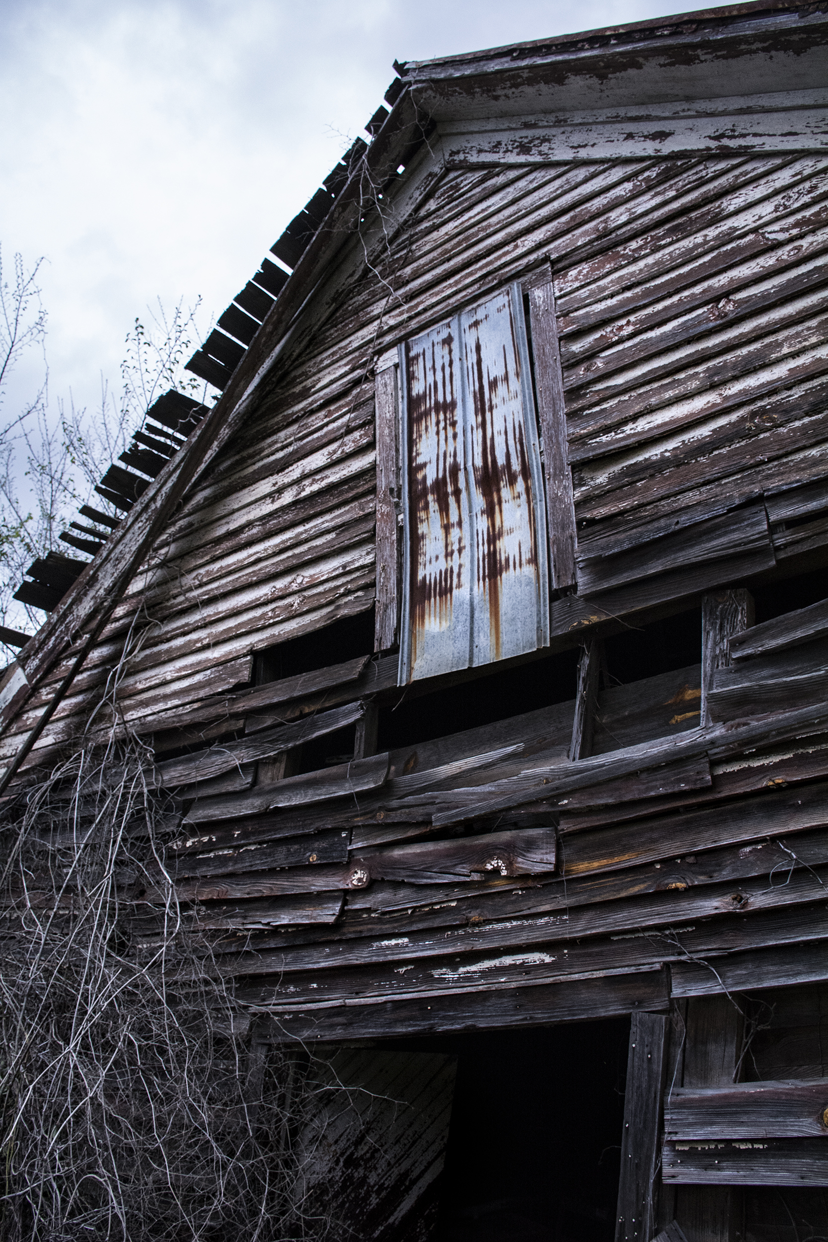first cabin upshot.jpg