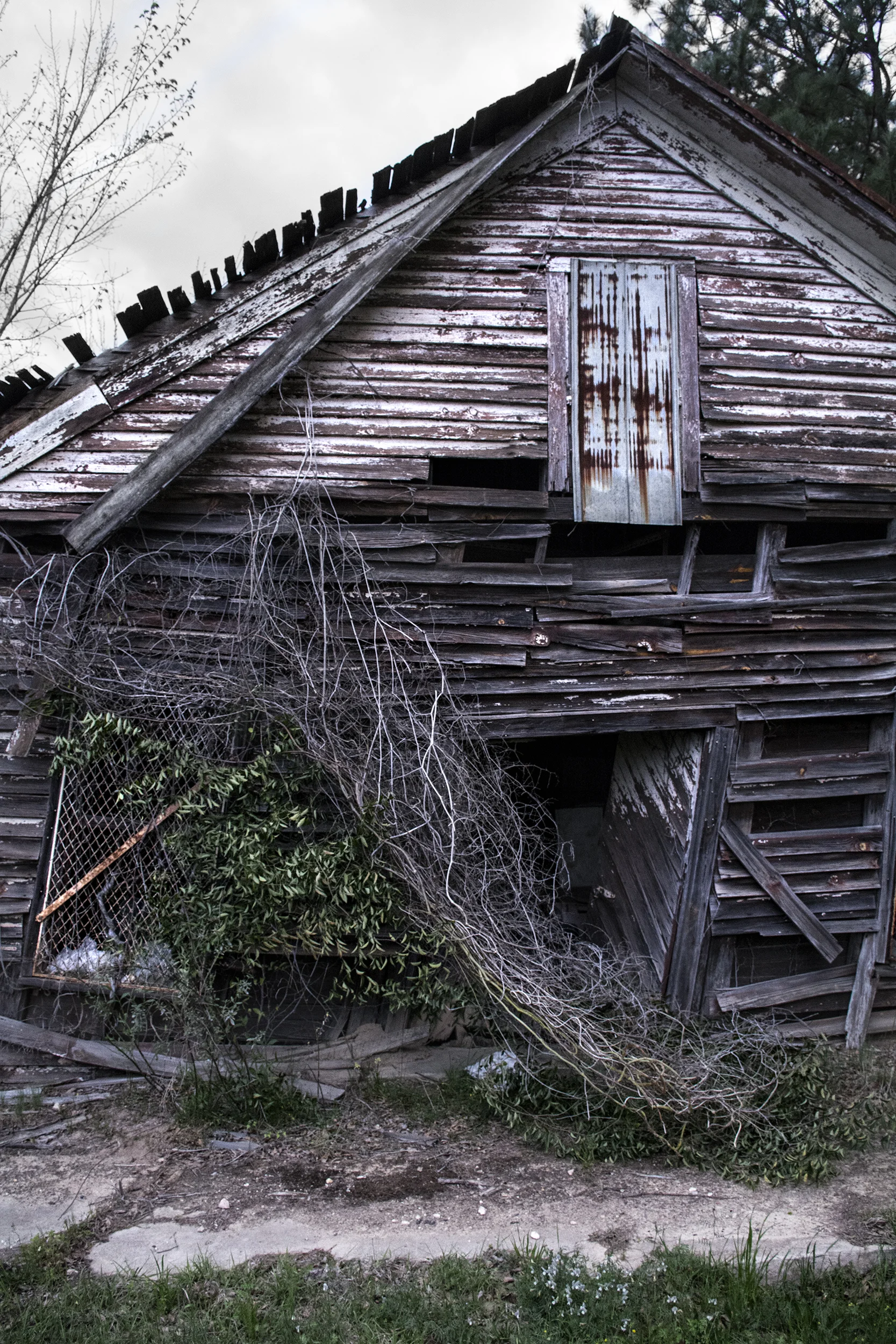 first cabin.jpg