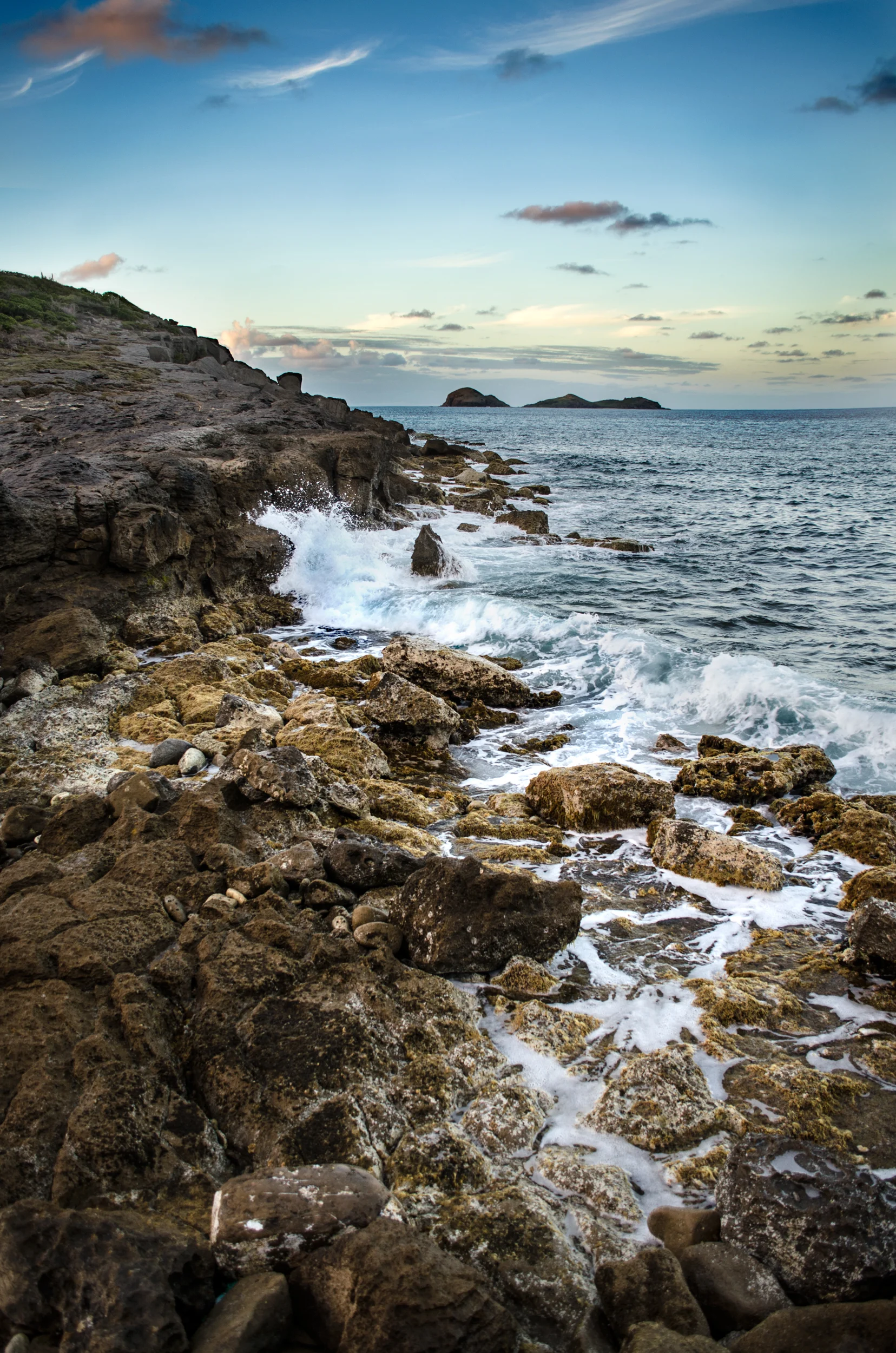 Shoreline-algae-color.jpg