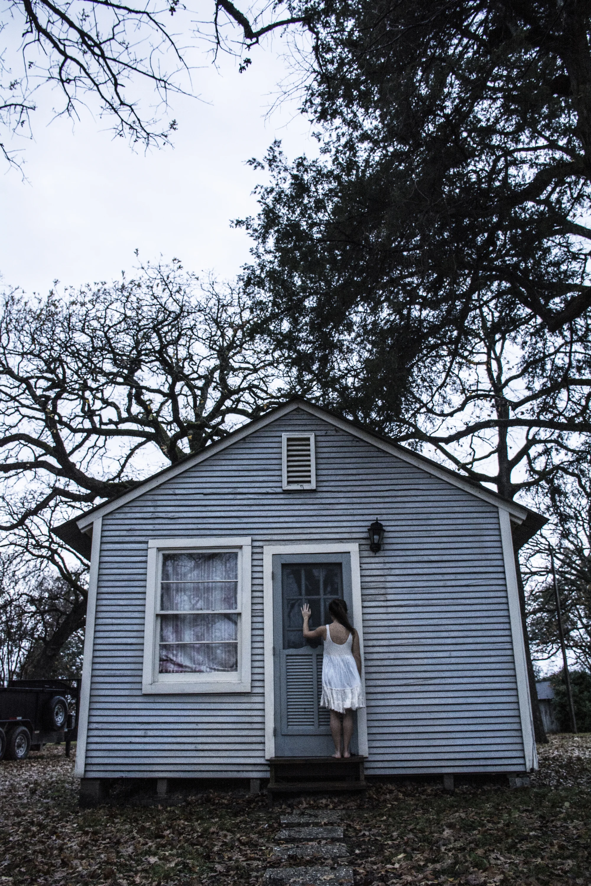 creepy house cat.jpg