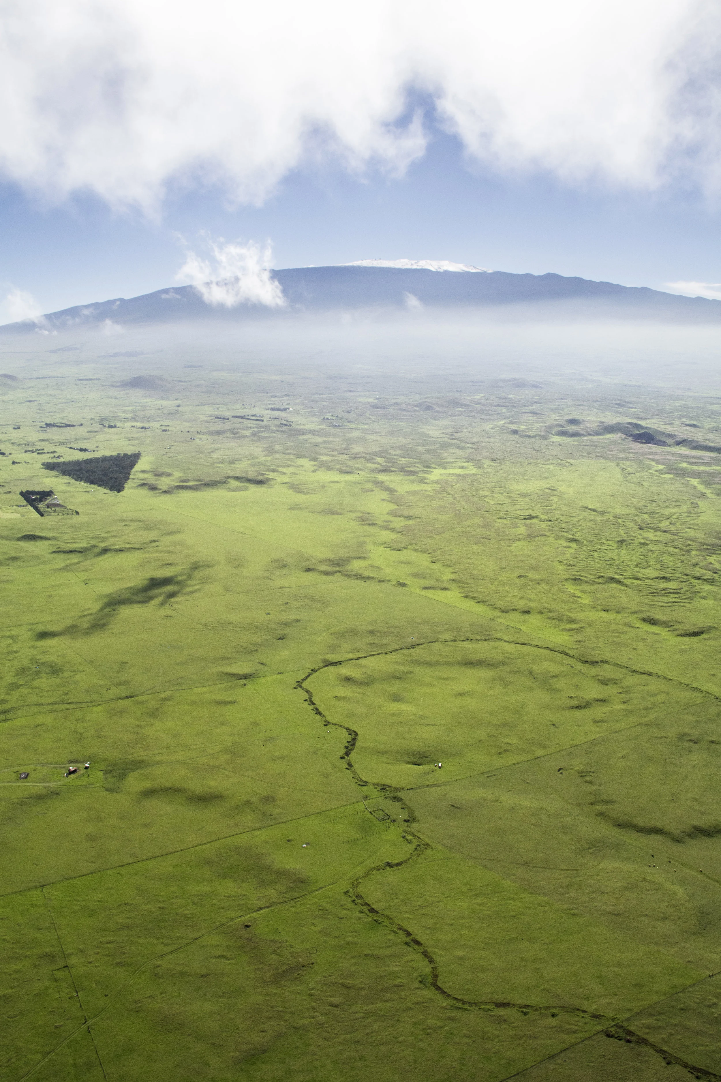 green landscape.jpg