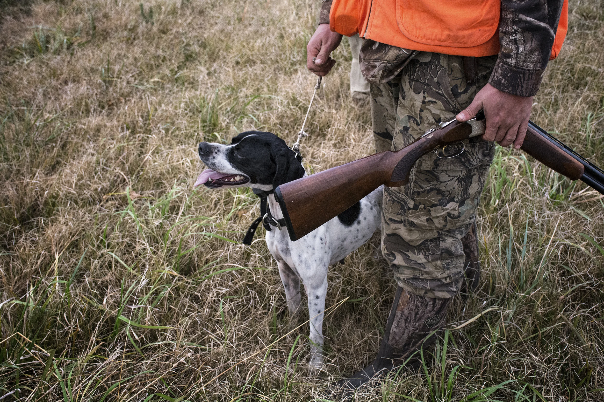 dog and gun.jpg