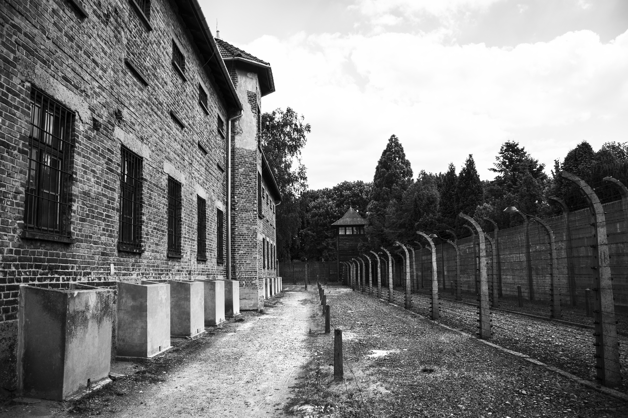 JPG BW wall and fence.jpg