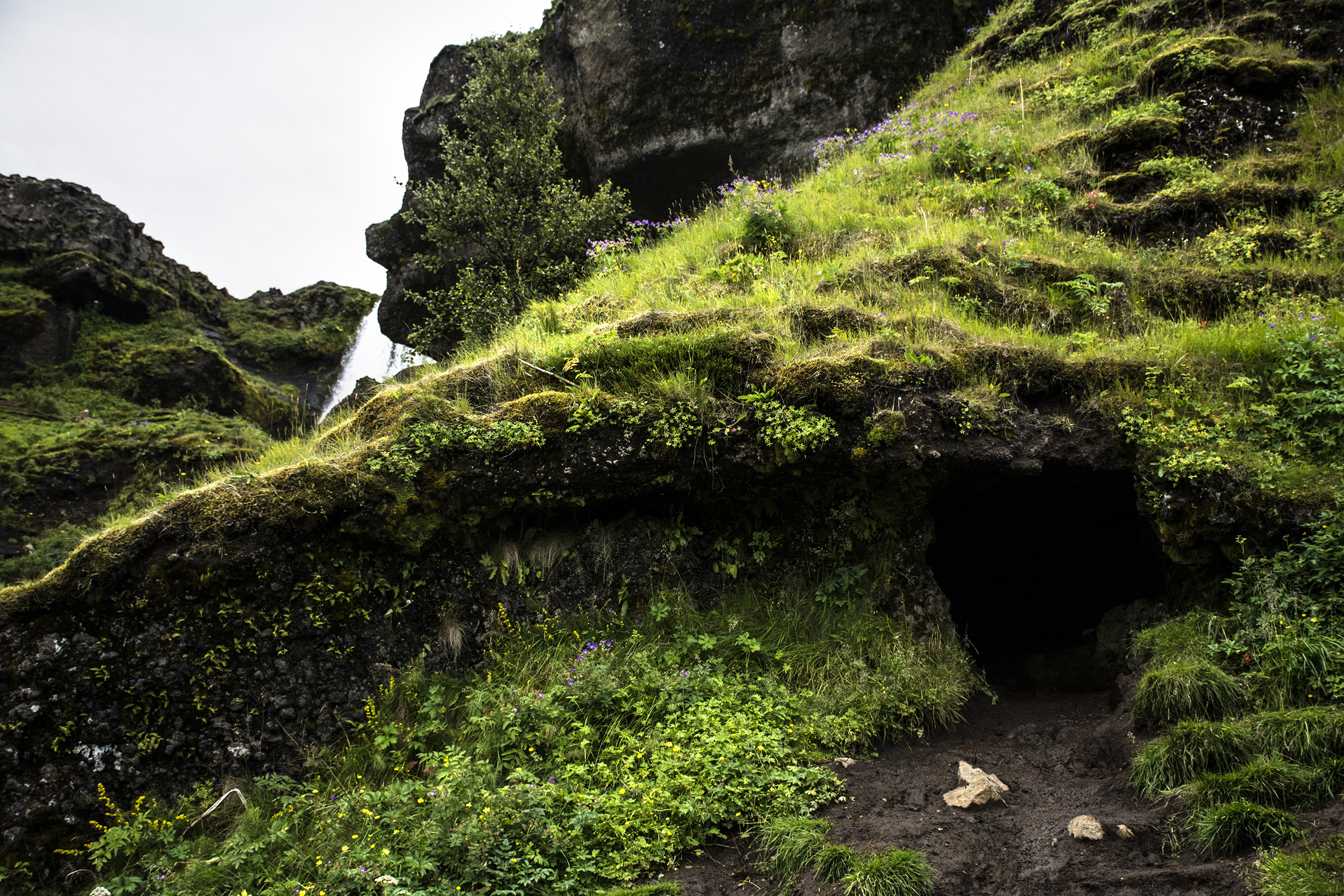 hobbit hole.jpg