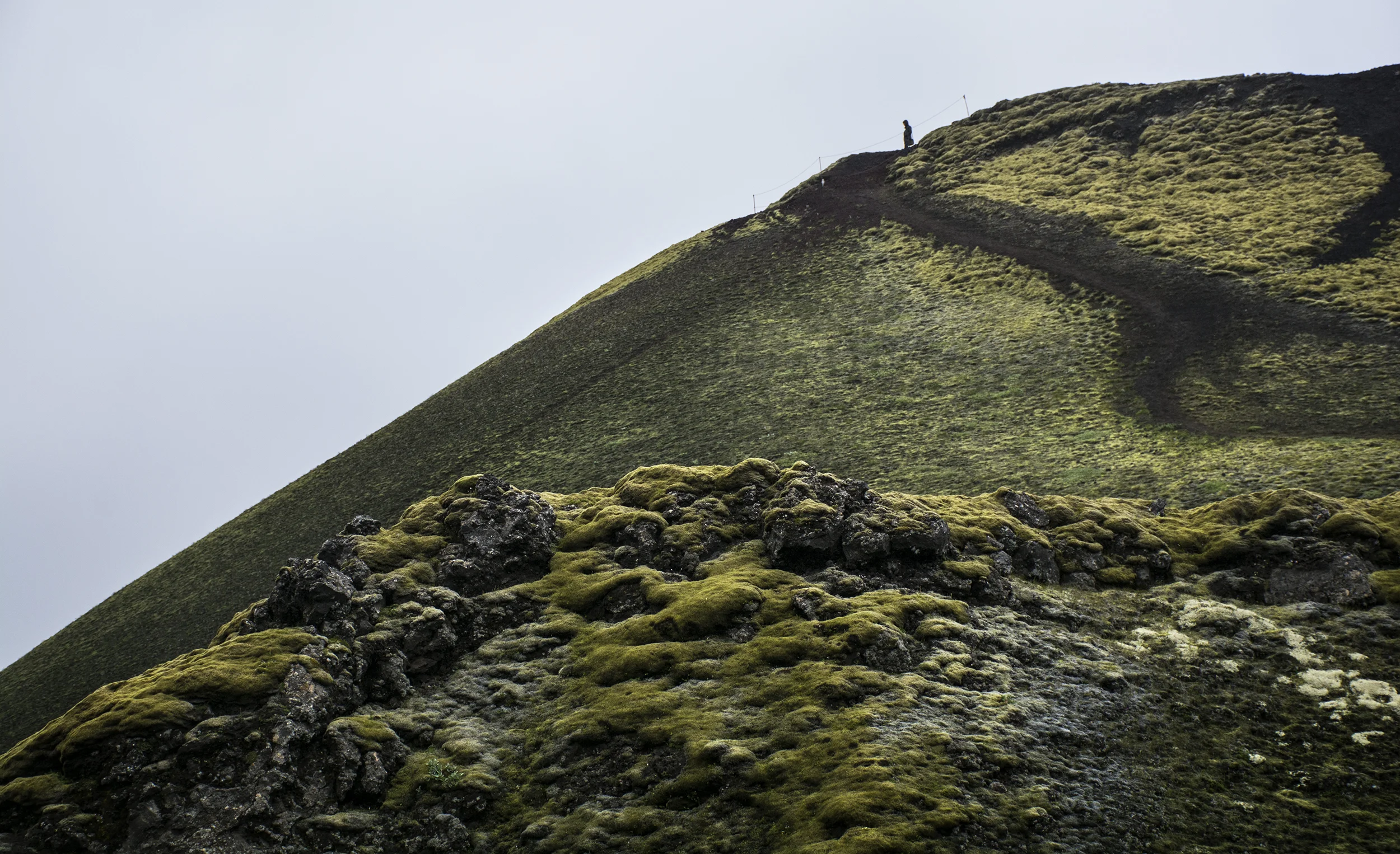 man on hill.jpg