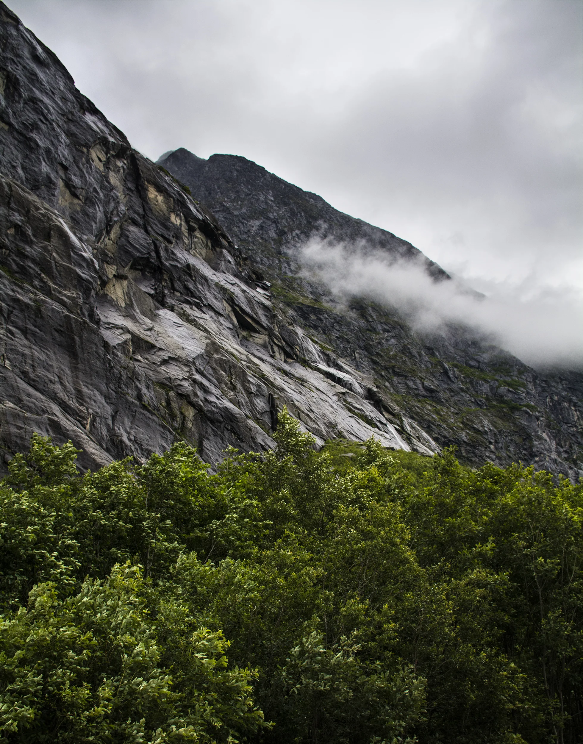 rocks and green.jpg