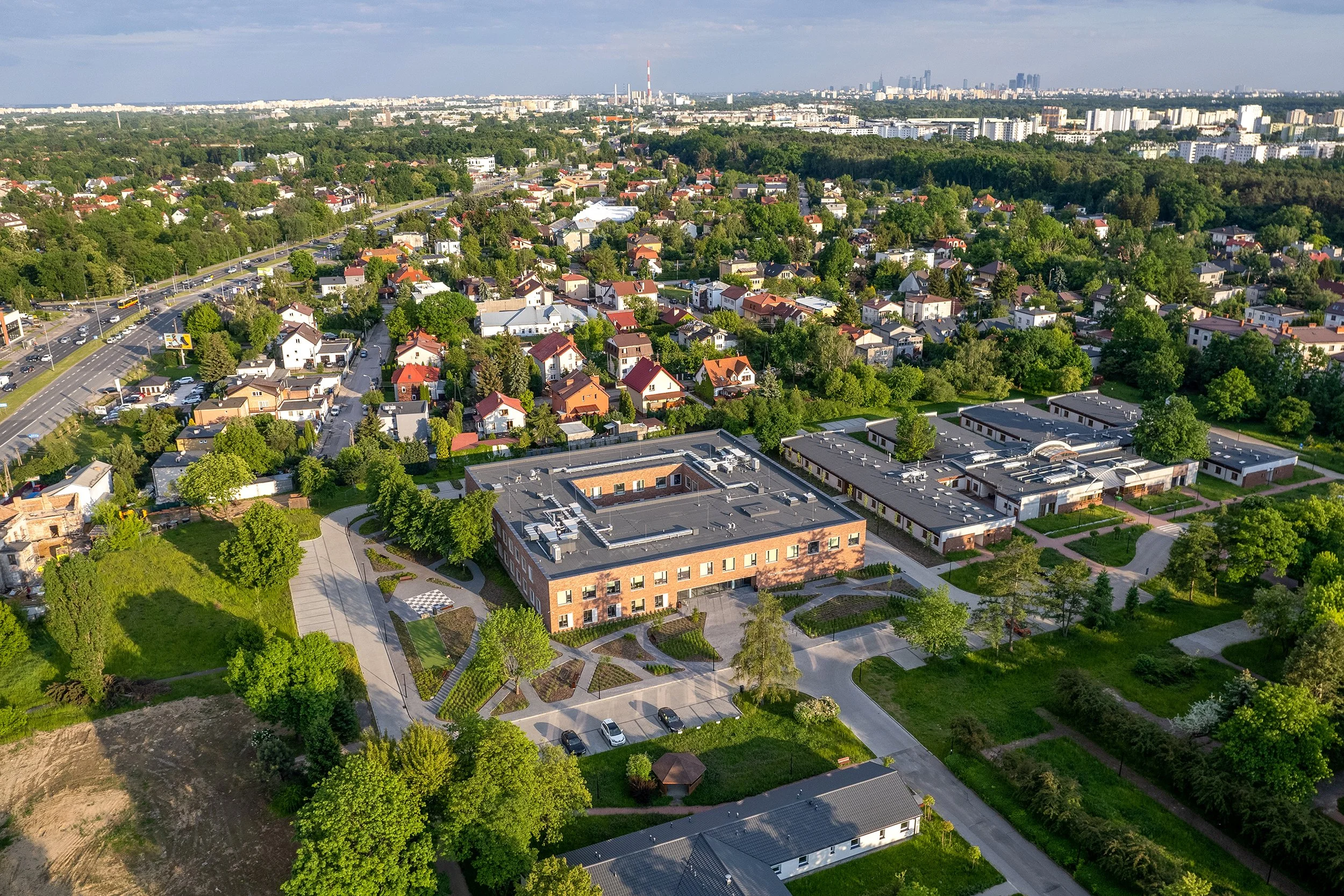 MEHOFFERA_06_ORG.jpg