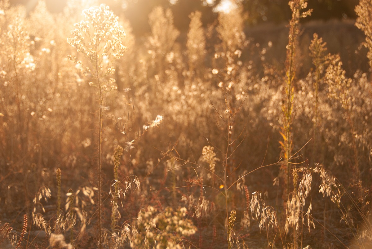 photo by Rebecca Culbreth