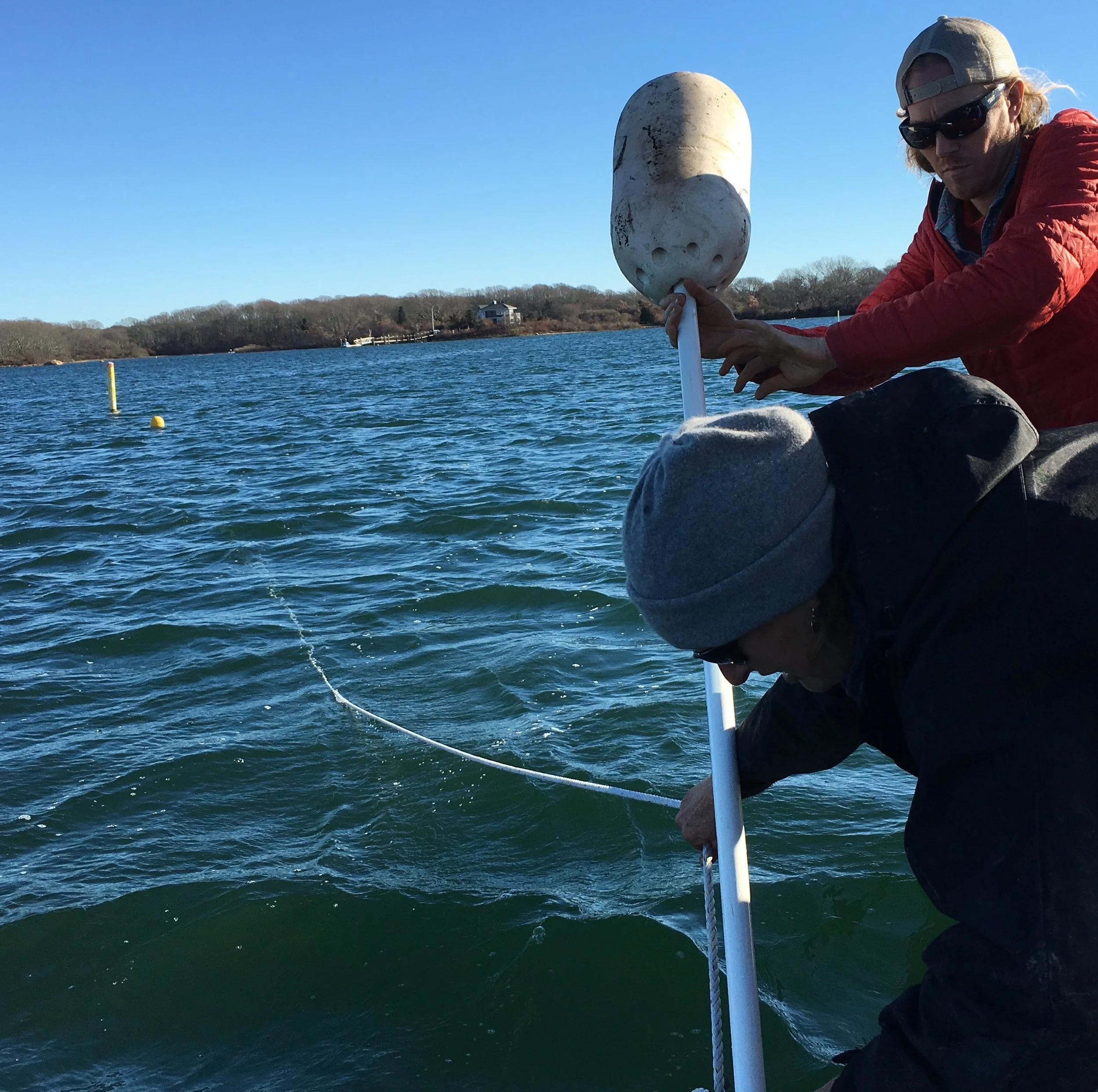 Austin helps deploy a long line for growing kelp with Cindy West of Cedar Island Oysters in Point Judith, Rhode Island.