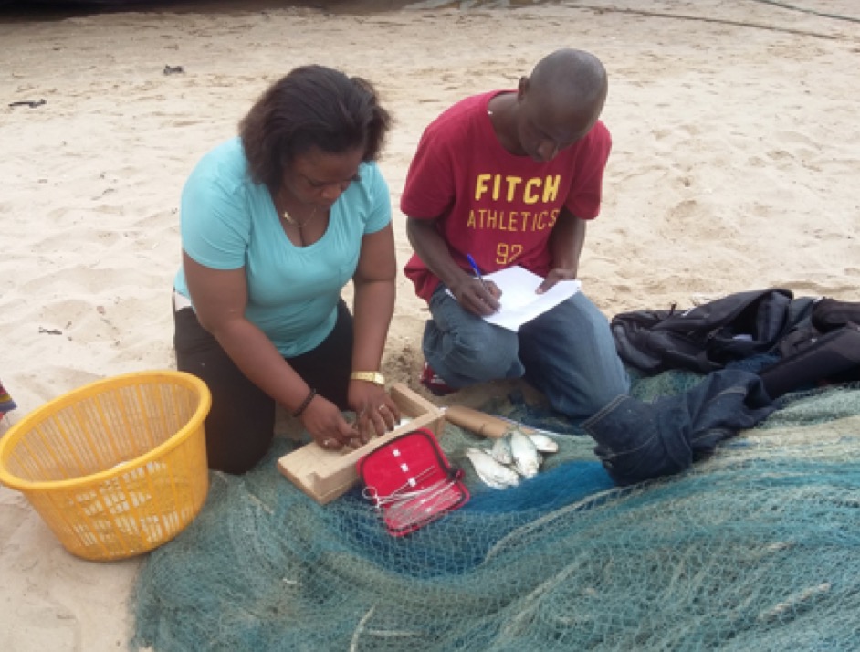 Evans and field assistant measuring sardinella