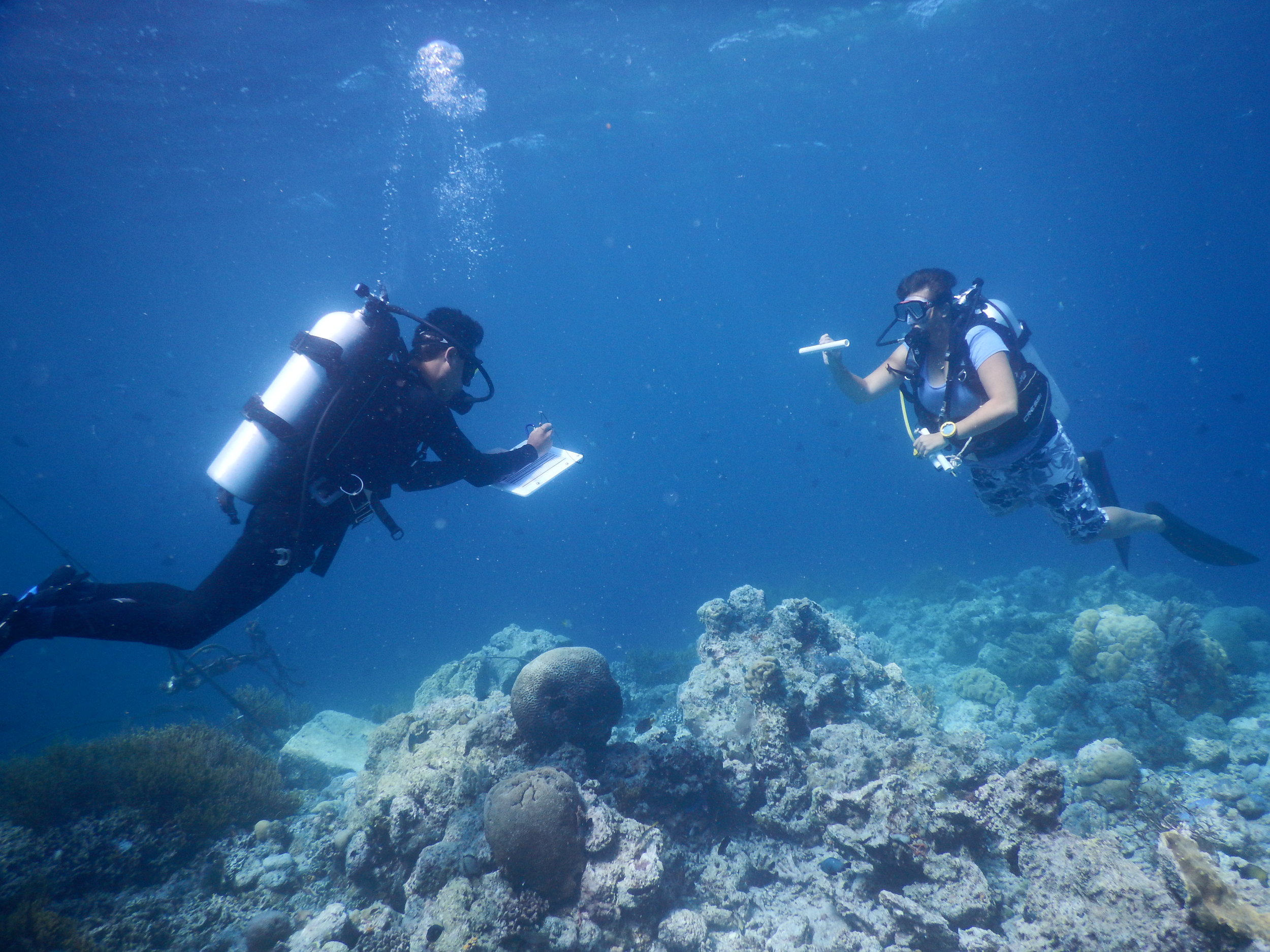 Paul calibrating his underwater size estimation for data collection