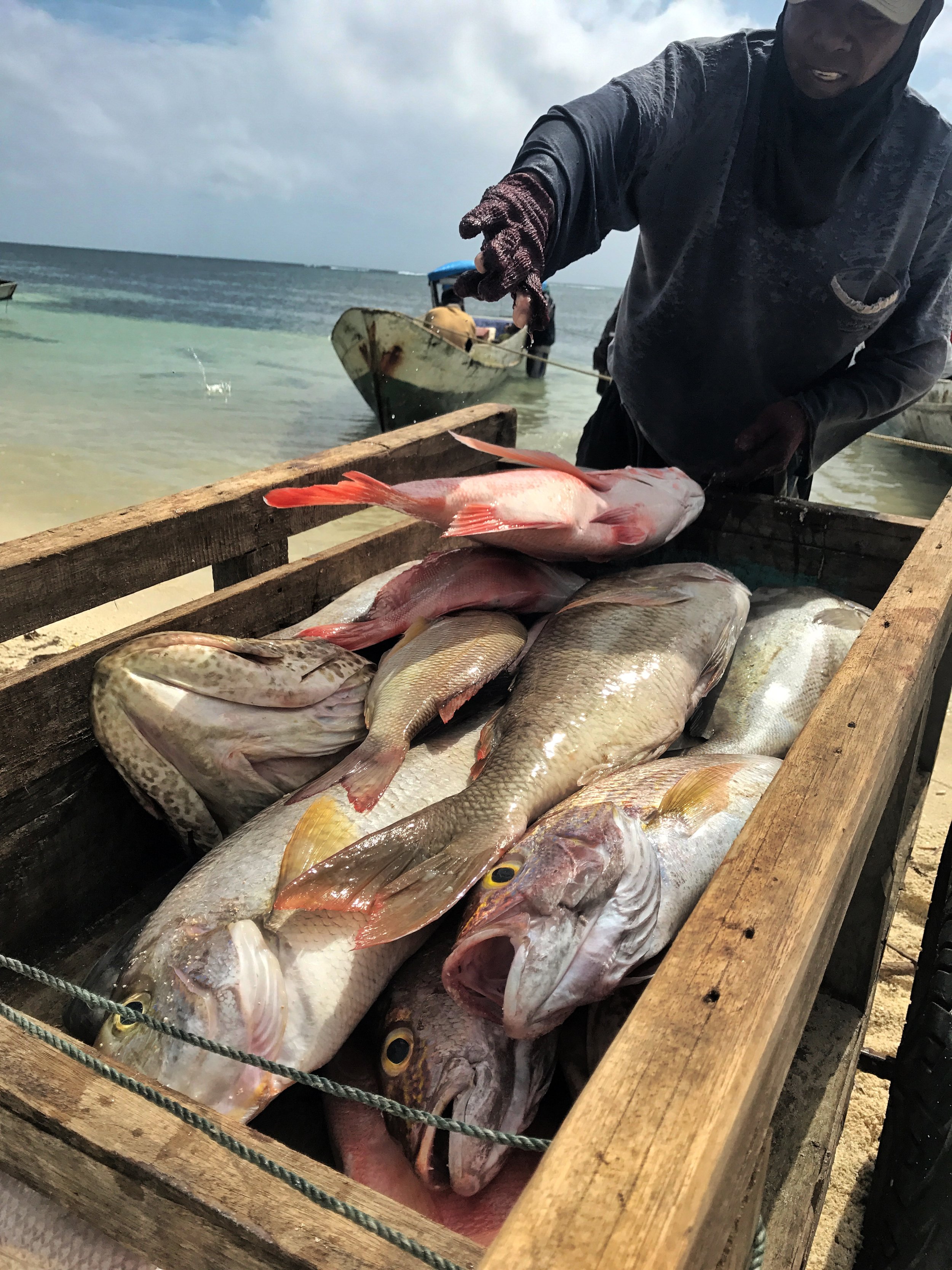 Catch of the day