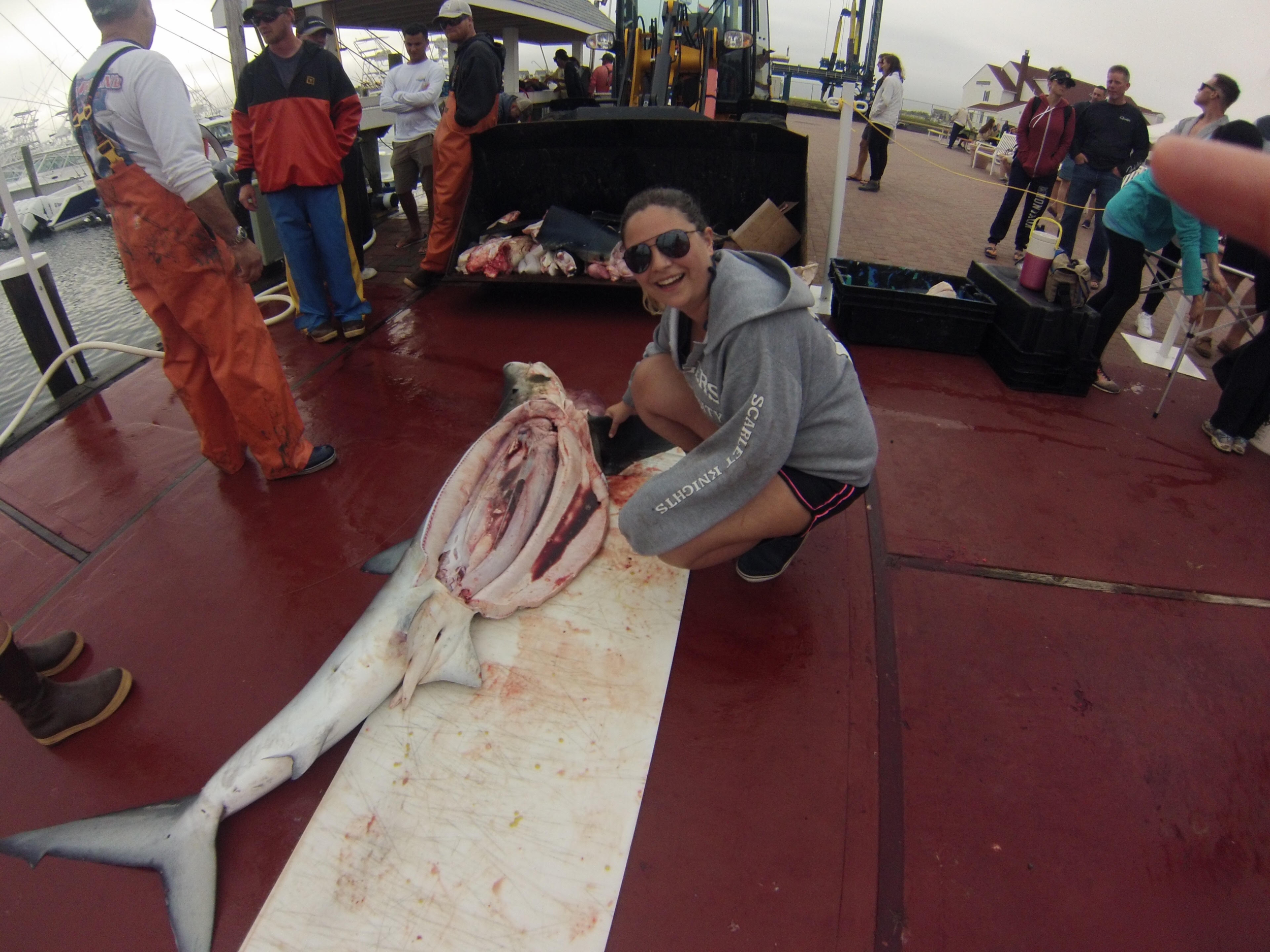  Katie at a shark tournament where National Marine Fisheries Service (NMFS) scientists collected blue shark age, reproduction, and food habits data opportunistically 