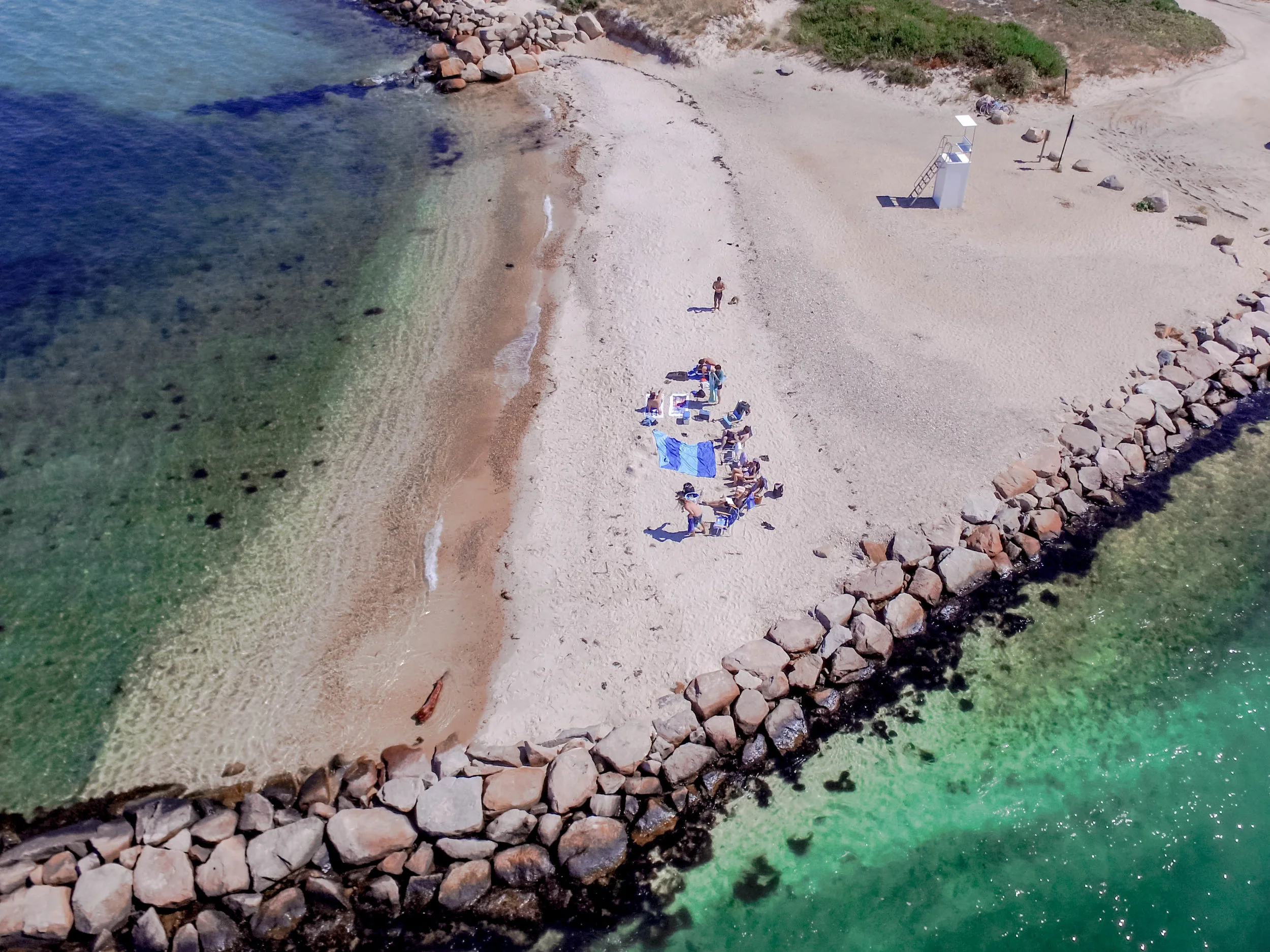 Drone shot of the lab group during the inaugural Humphries Lab retreat in Martha’s Vineyard, MA.
