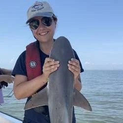 Katie Viducic, MS (2018)